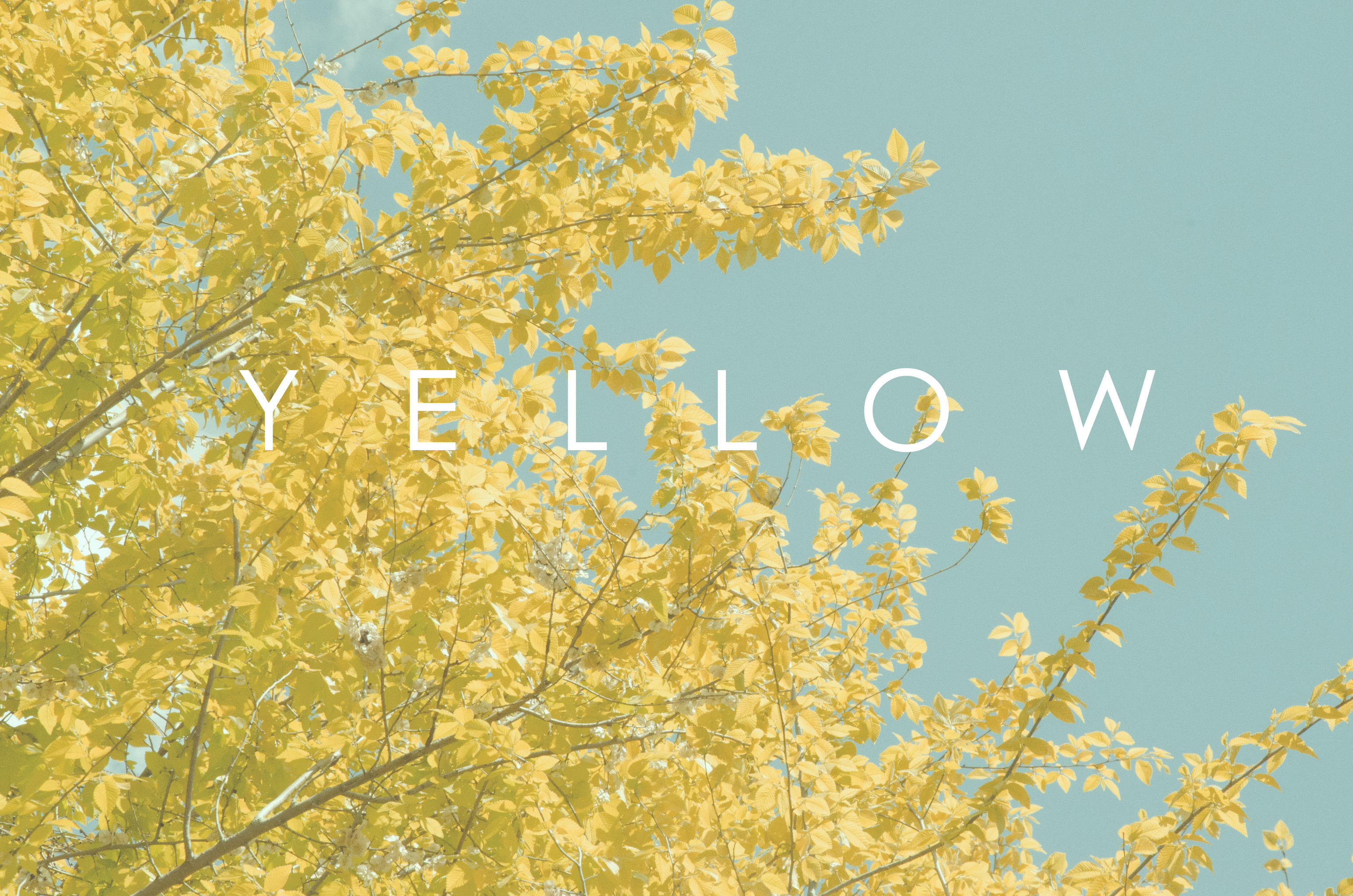 个人摄影作品 - alan丶d - 原创作品 - 视觉中国(shijueme)