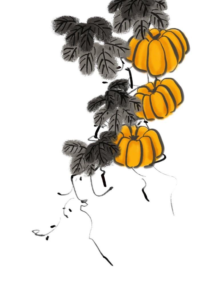 南瓜- 兔道格斯 - 原创作品 - 视觉中国(shijueme)