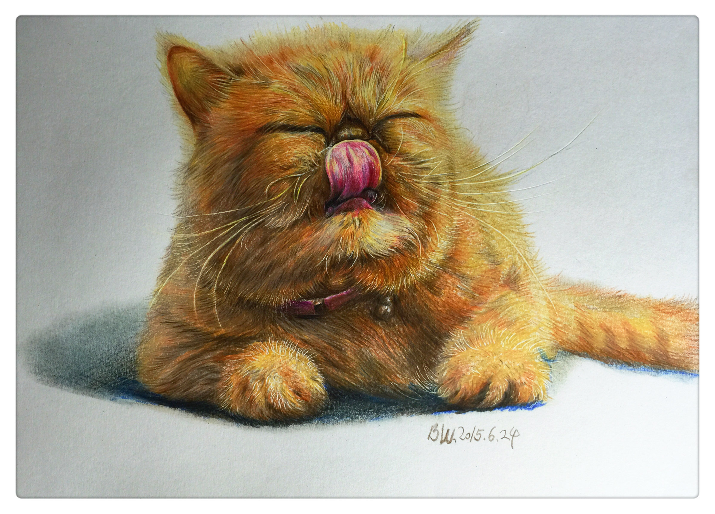 彩铅动物作品 - 博文手绘 - 原创作品 - 视觉中国(爱视觉)