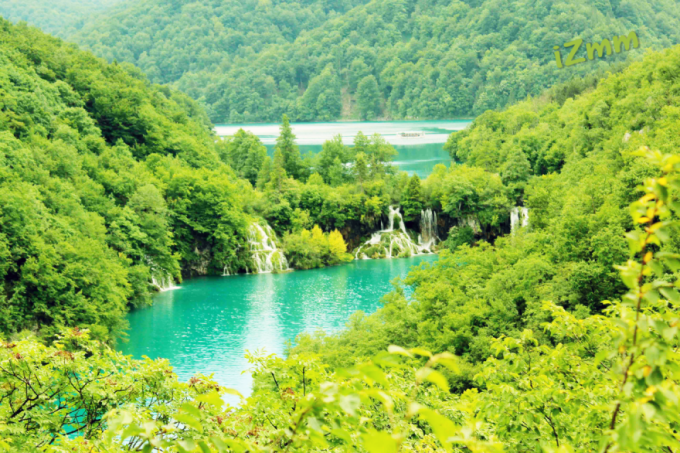 嫩绿色 - izmm - 原创作品 - 视觉中国(shijueme)