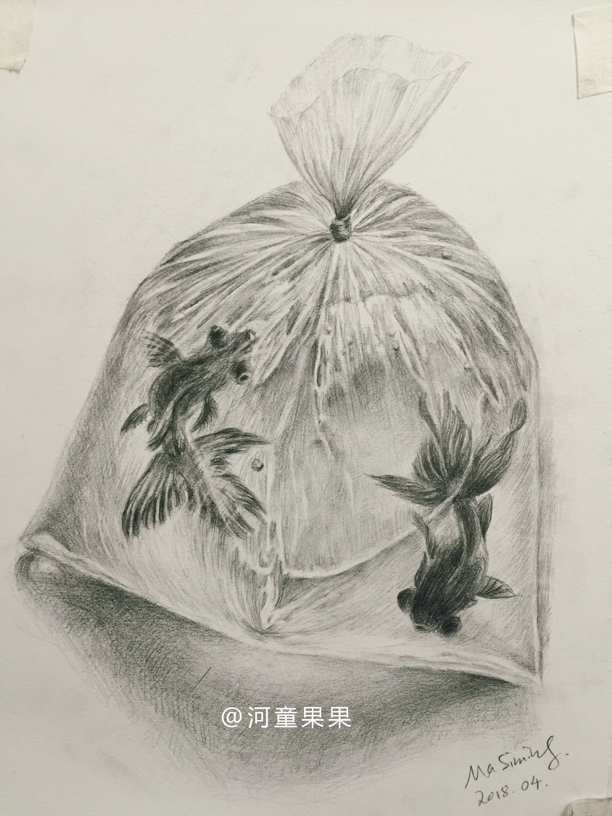 塑料袋里的鱼.含步骤图.