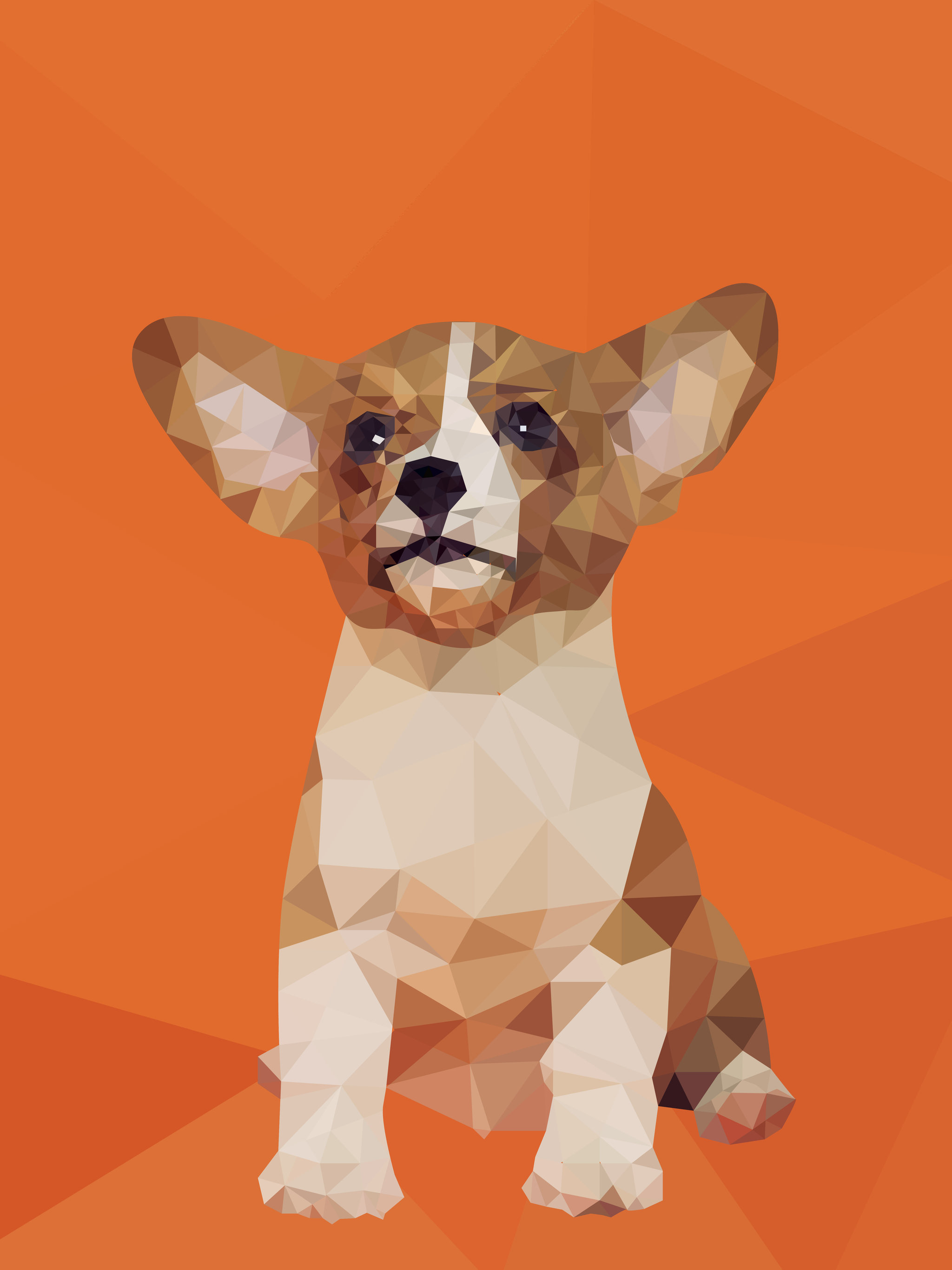 lowpoly风宠物插画