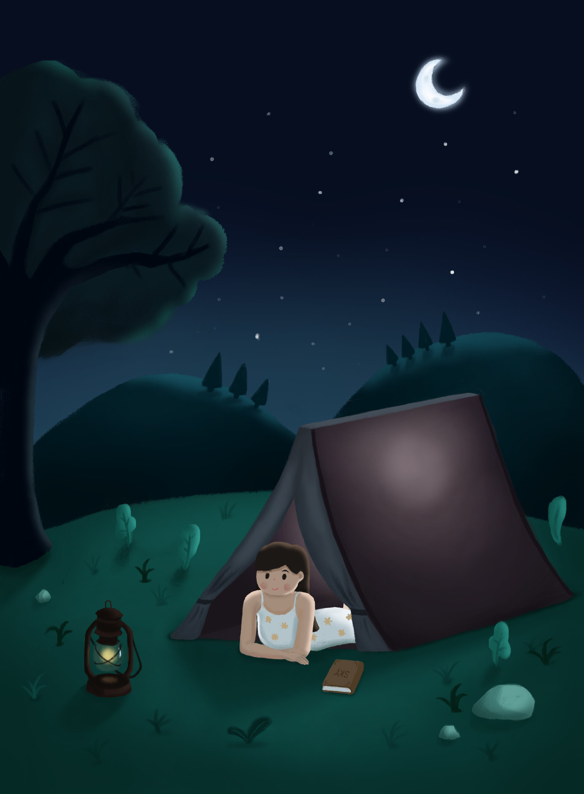 躺在草地上看星星