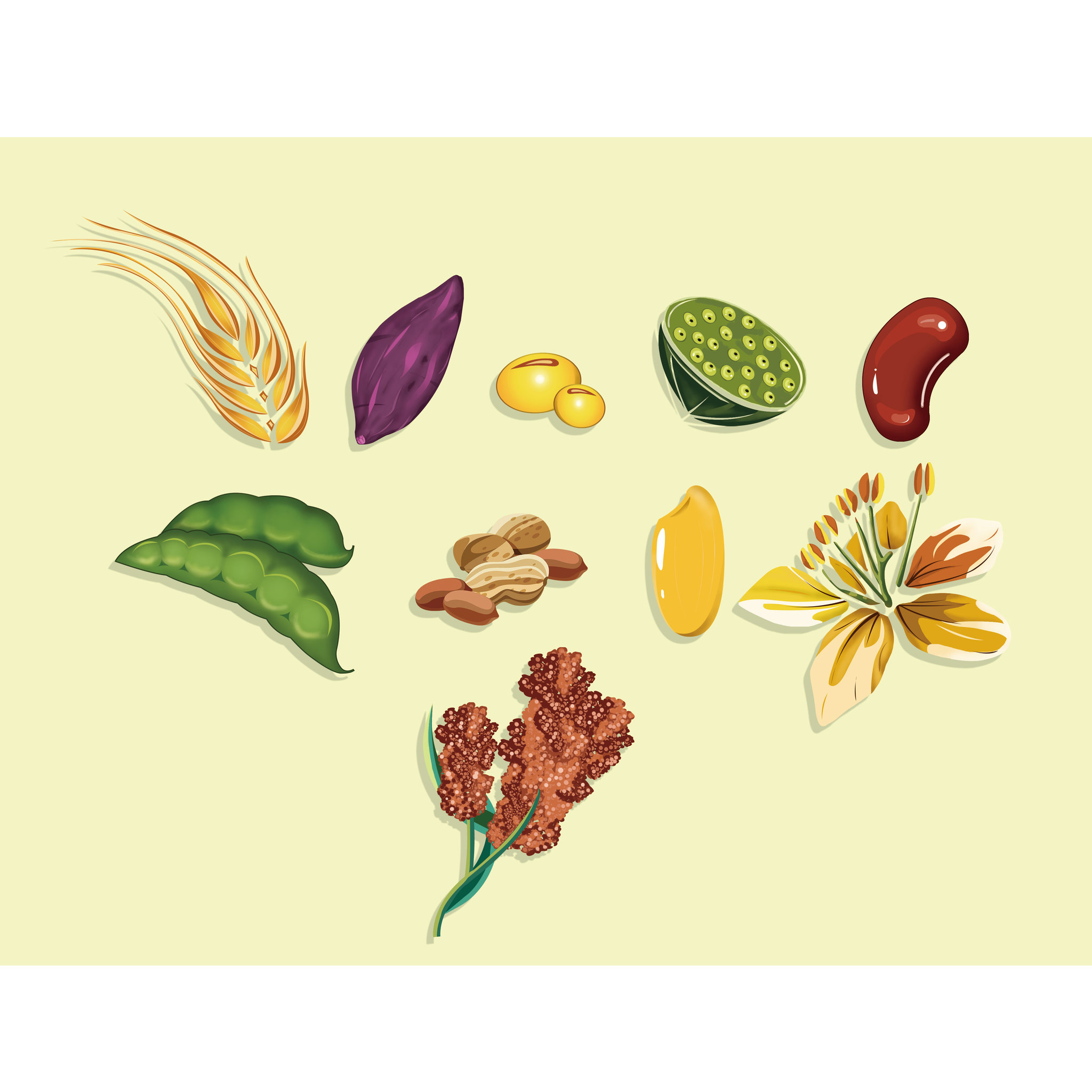 粗粮- 愤怒的豆豆姐 - 原创作品 - 视觉中国(shijueme)