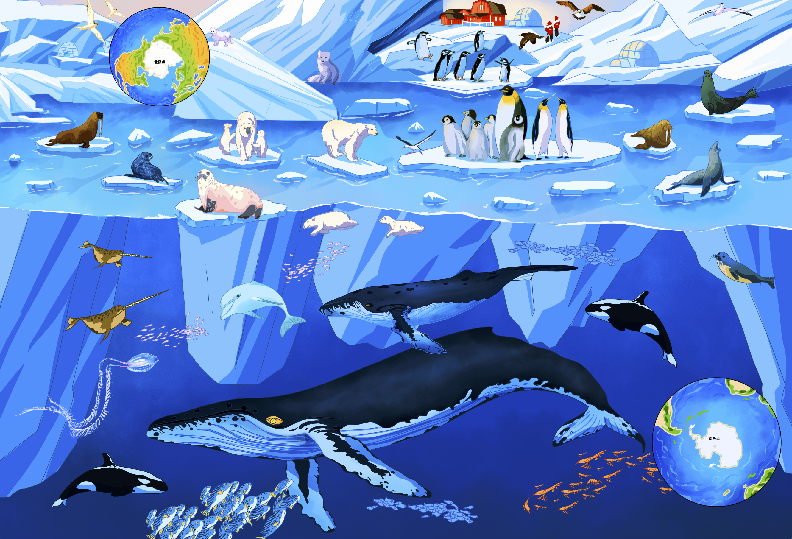 科普绘本插画 - euthalia.w - 原创作品 - 视觉中国(爱视觉)