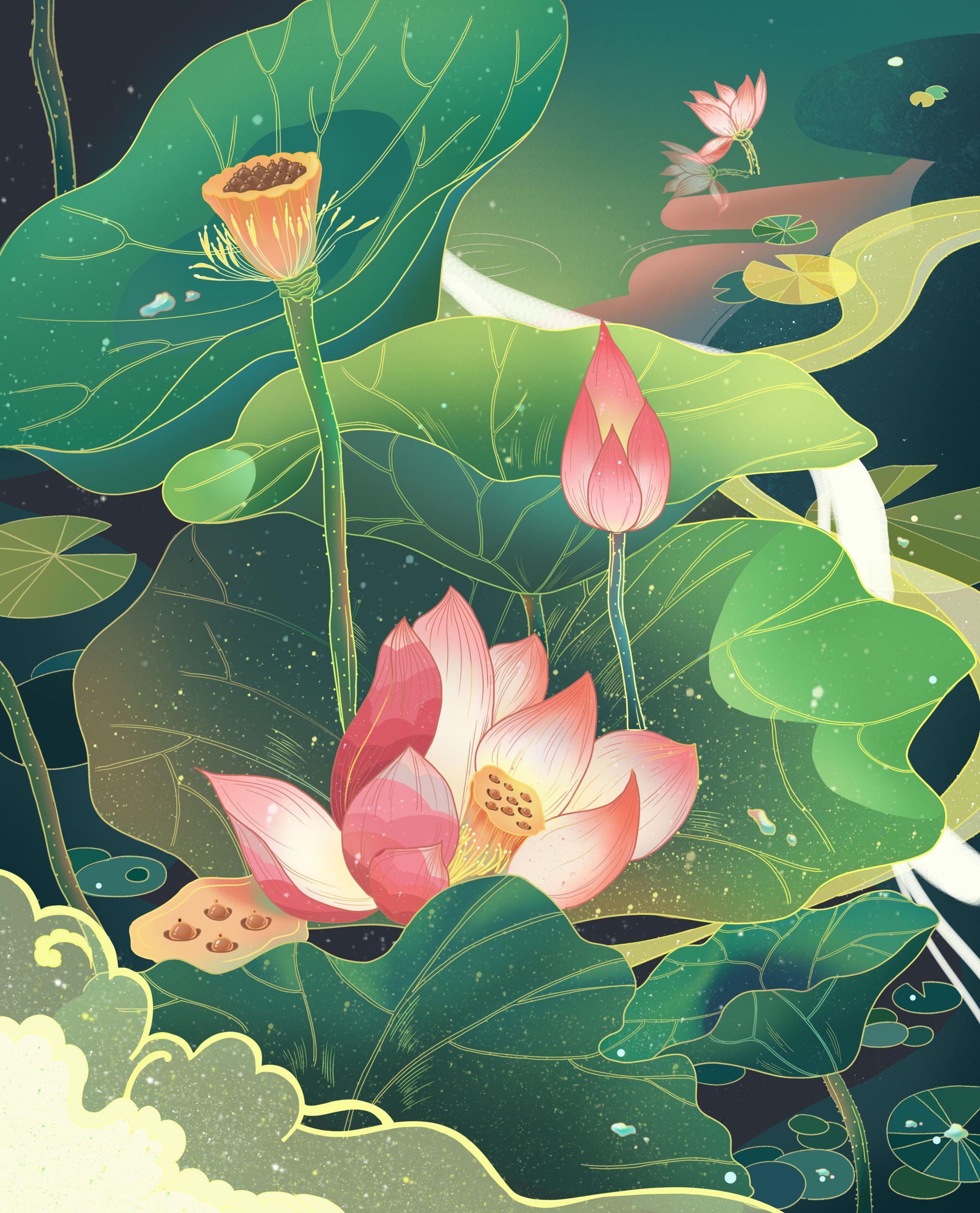 夏天的气息——夏至