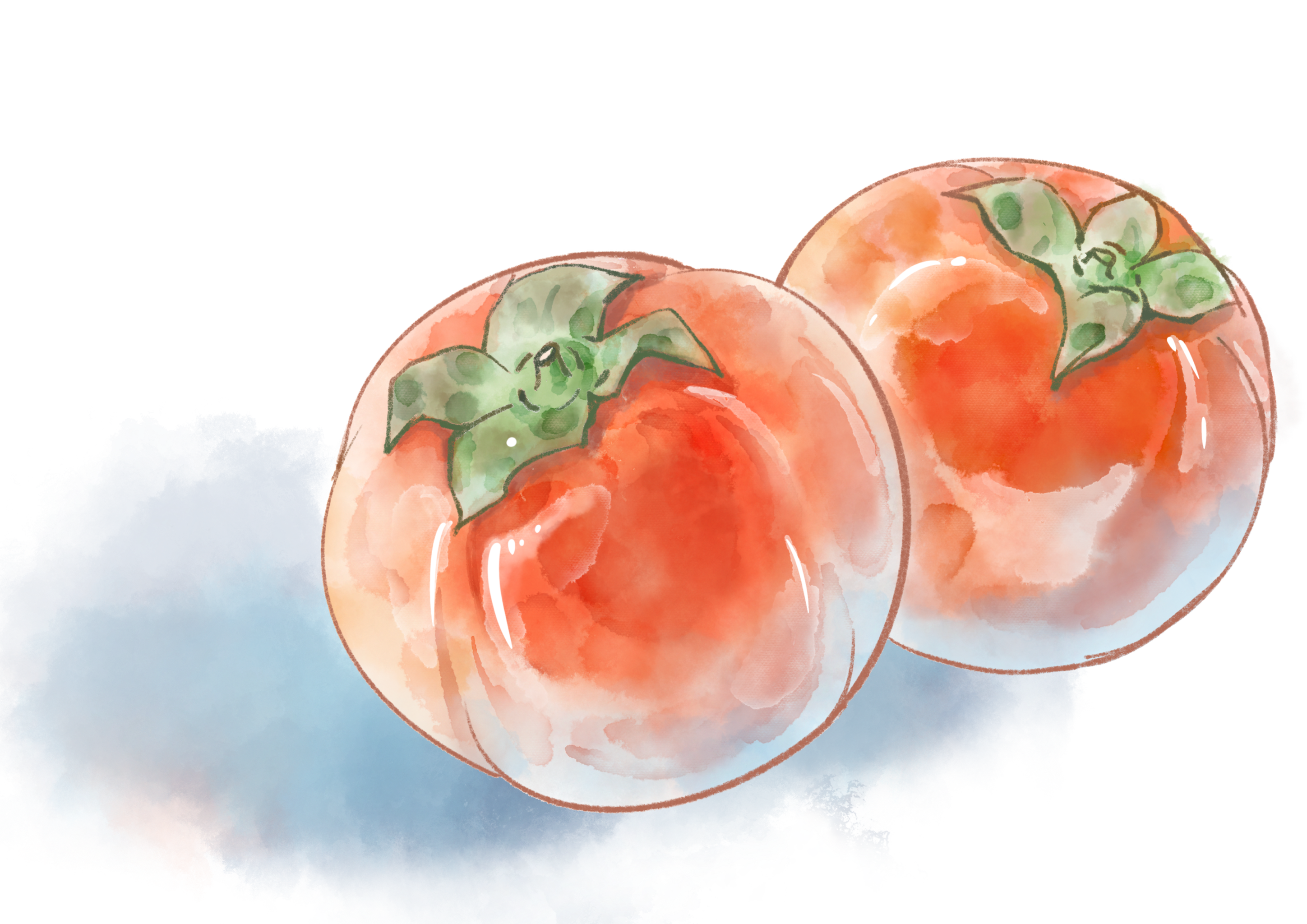 水彩水果 水彩花卉