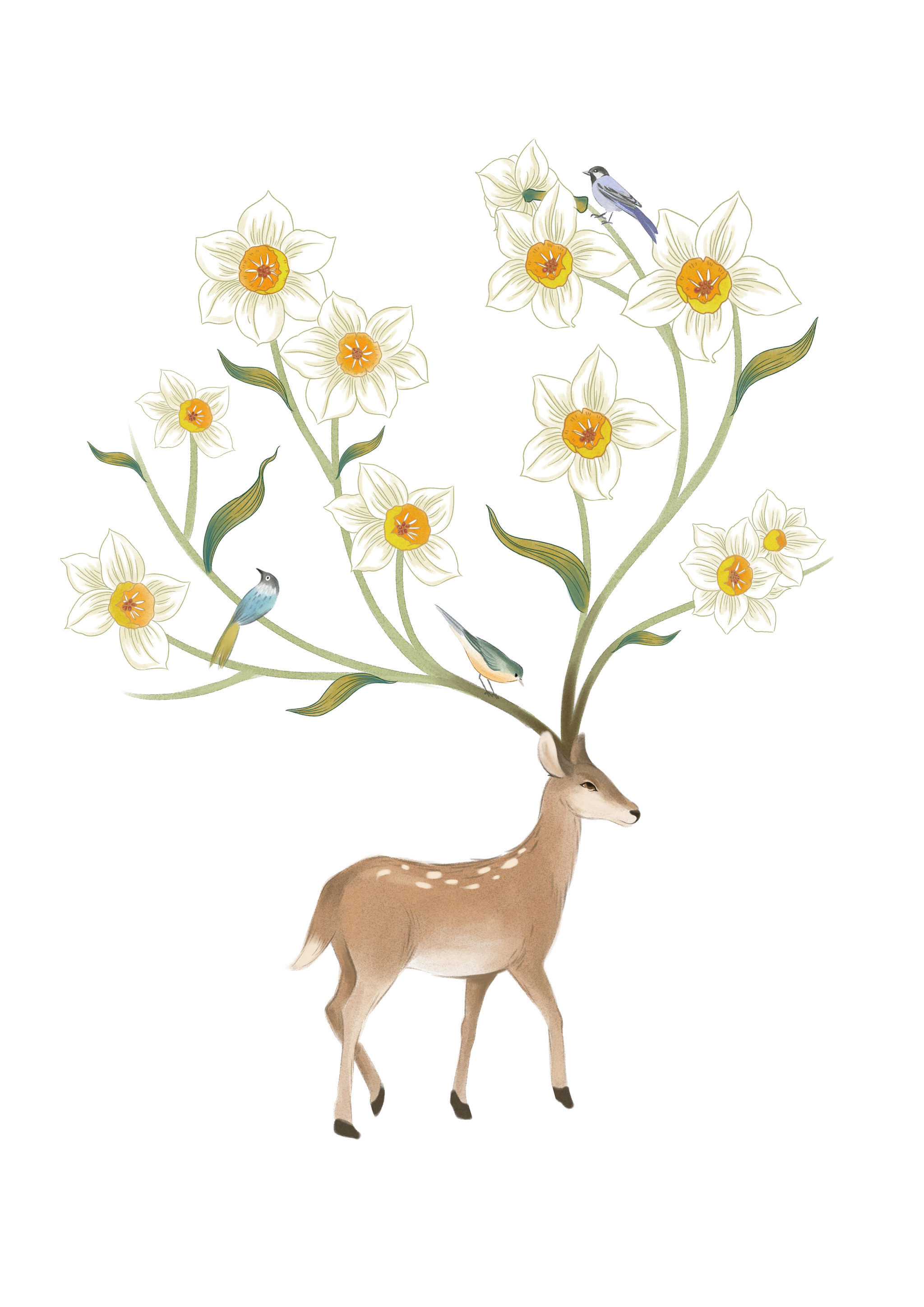 12个月当季的花以及不同形态的鹿