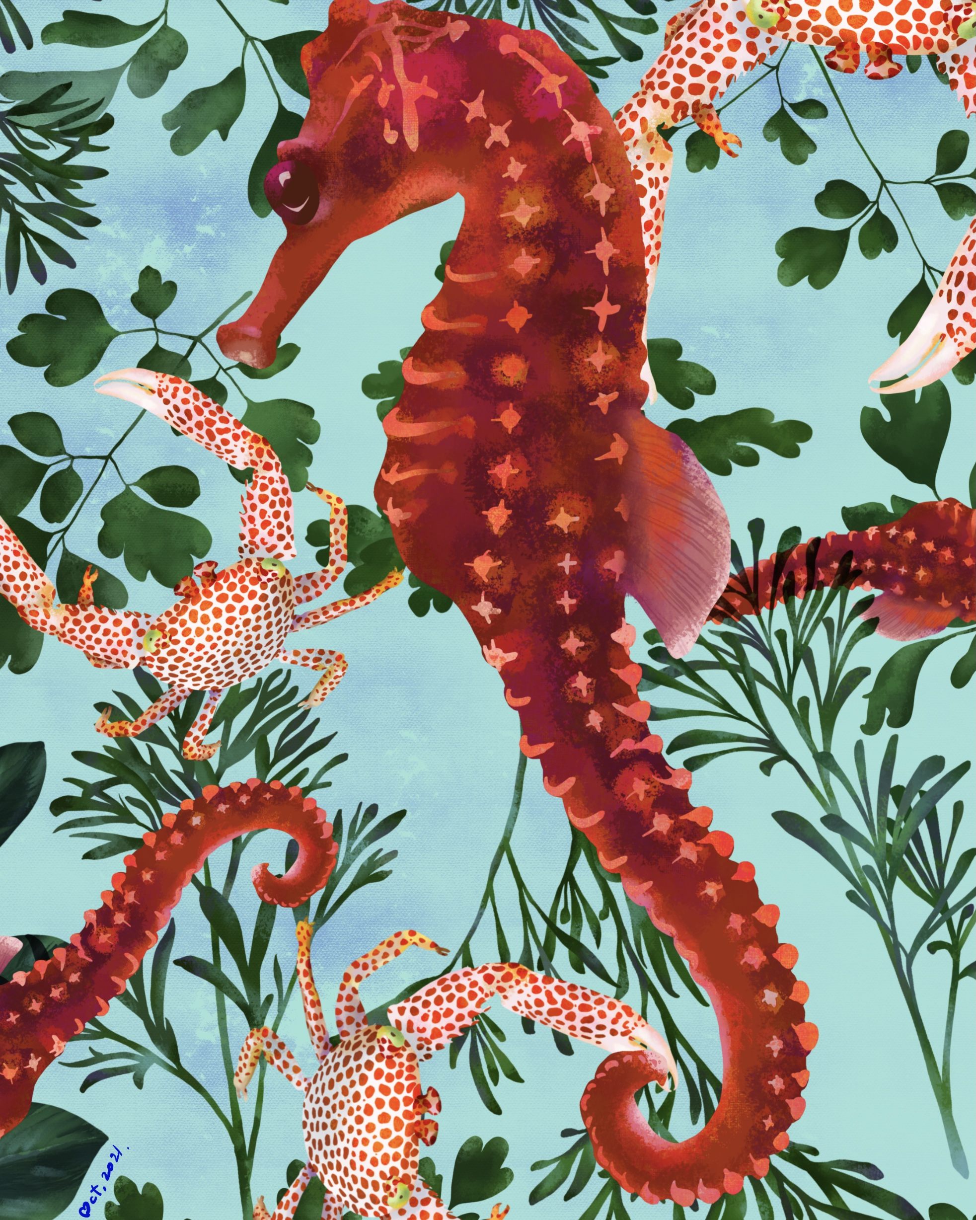 「装饰插画」海洋生物之一