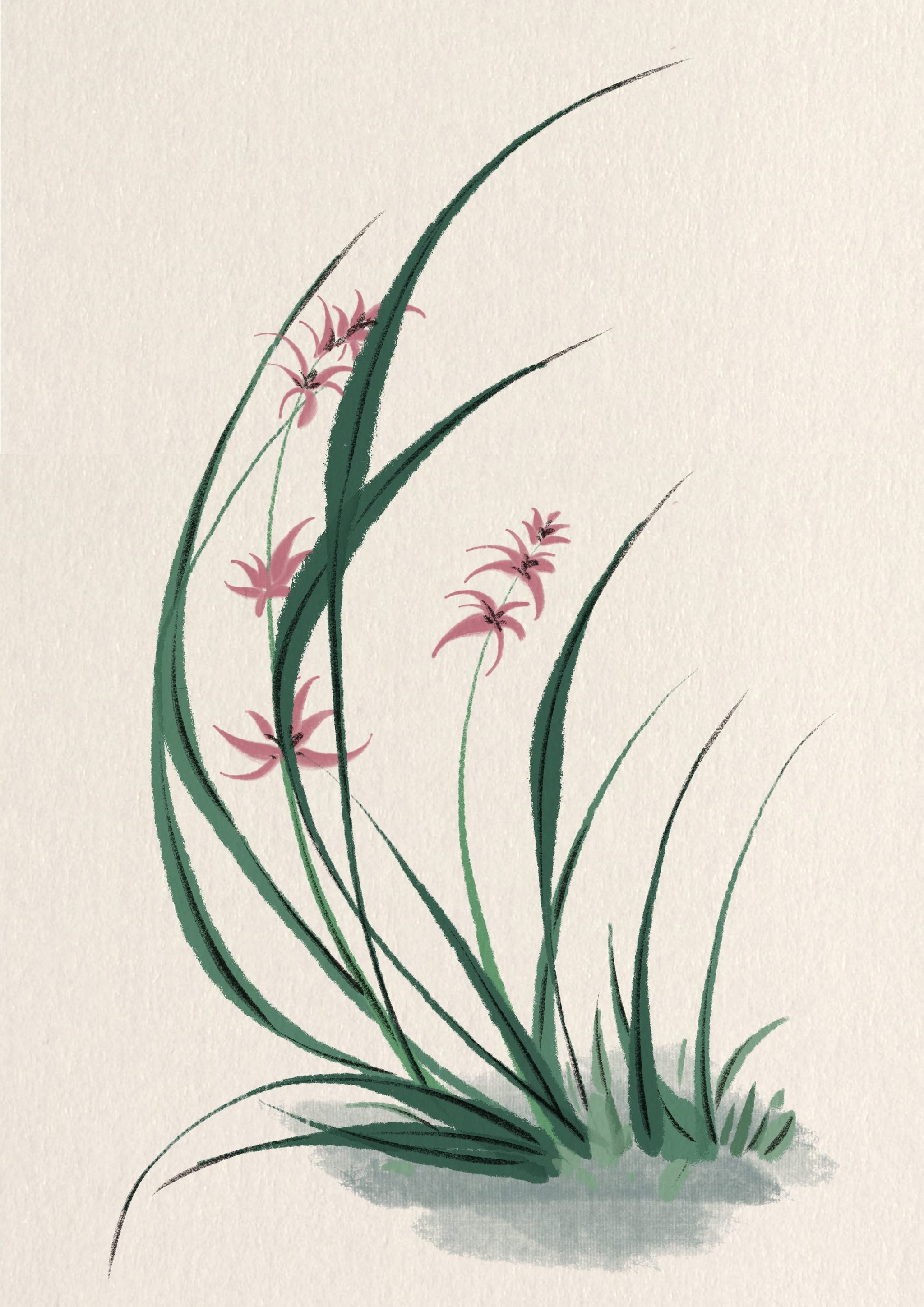 古风花花草草合集