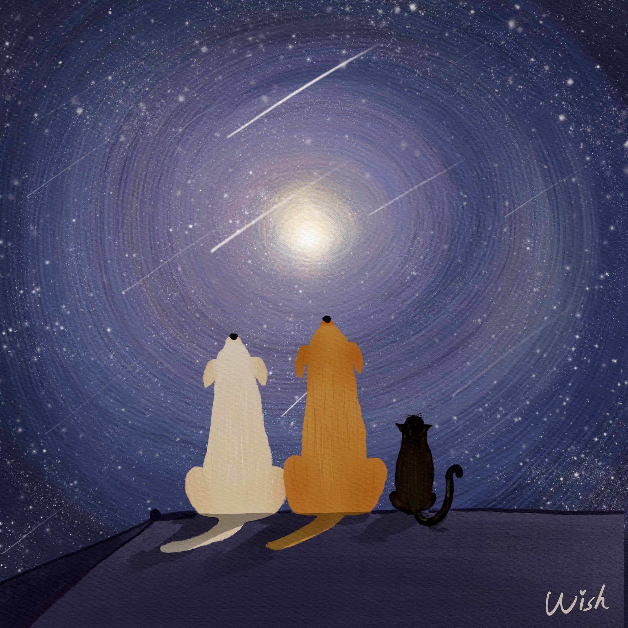 治愈系 星空下的爱 儿童插画