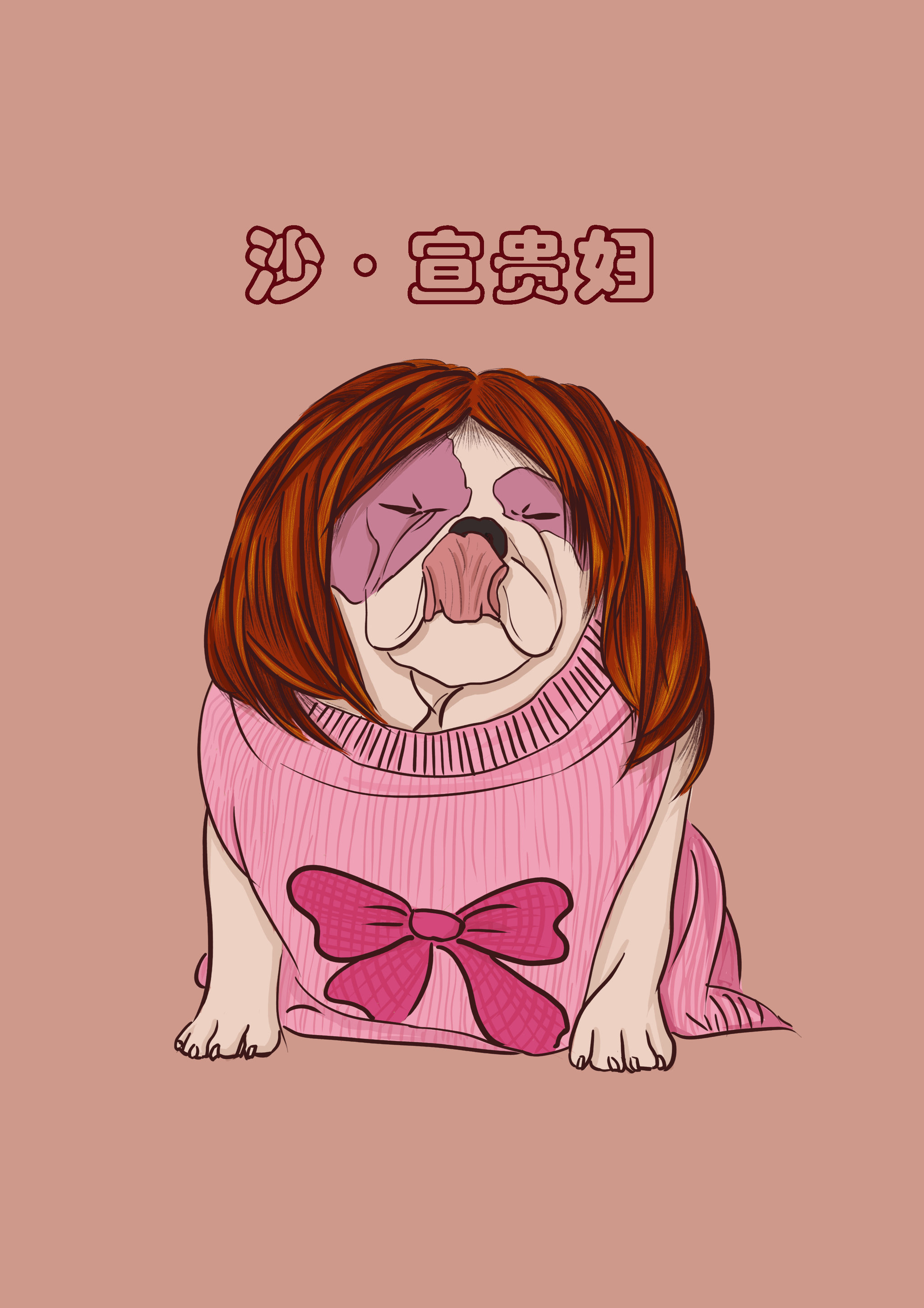 宠物形象设计9——沙宣贵妇