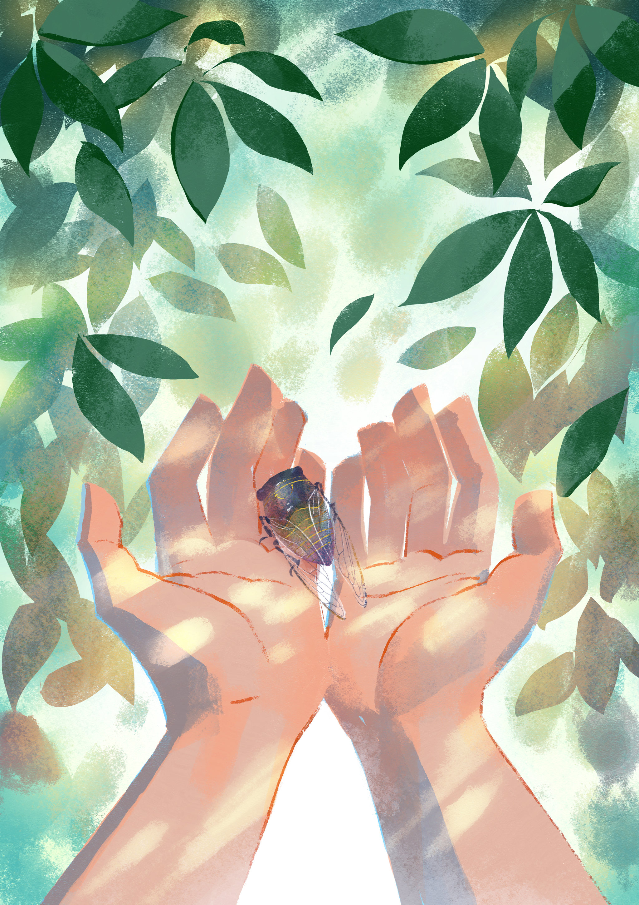 插画  - 商业插画 |   上传时间: 2021-08-12 15:24 为ta点赞 类似