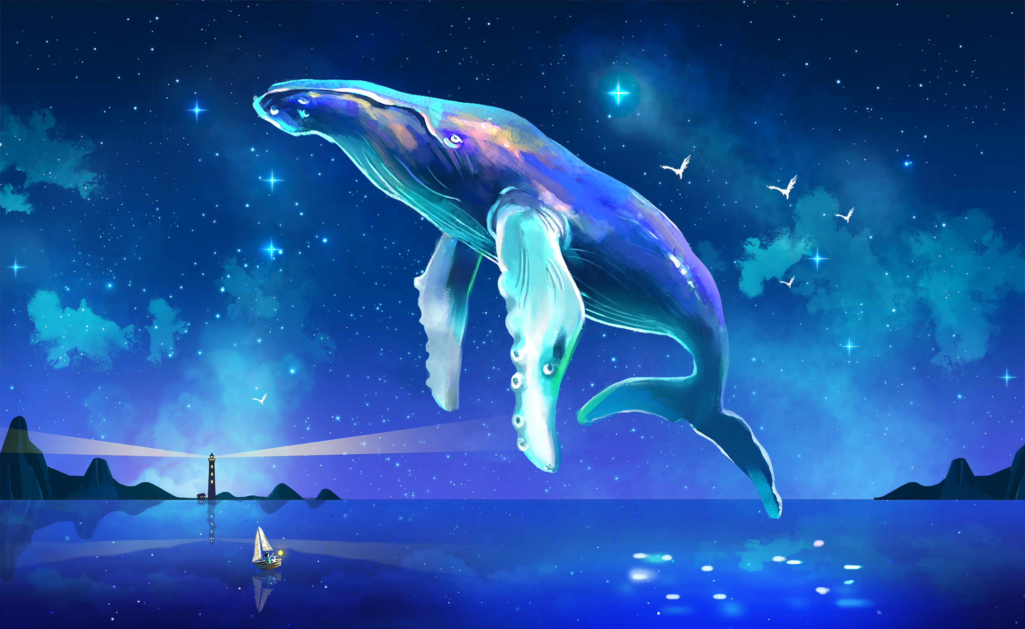 鲸鱼 海洋 