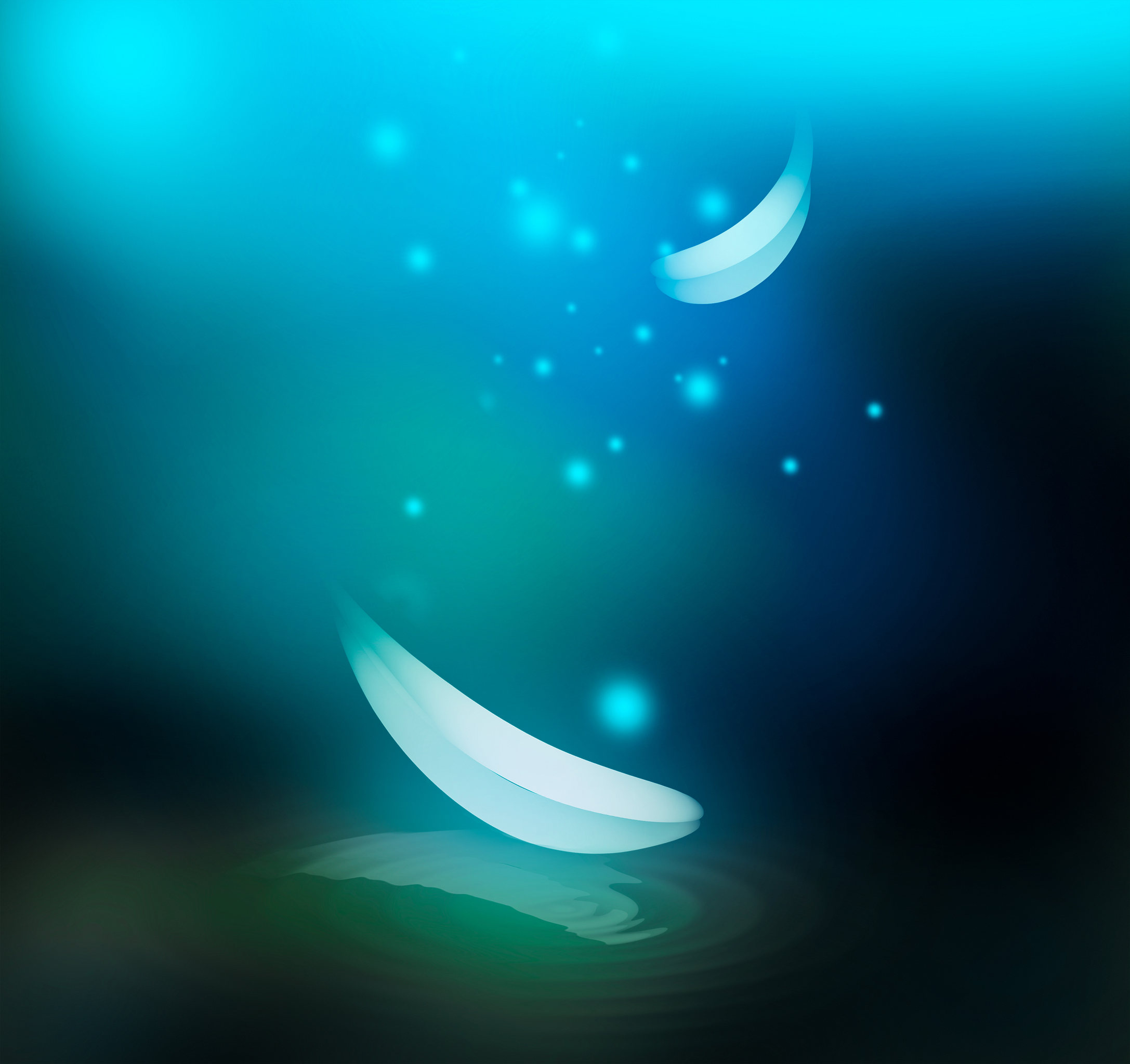 飞鸟集白色飞鸟羽毛翱翔神话魔幻山海经板绘插画