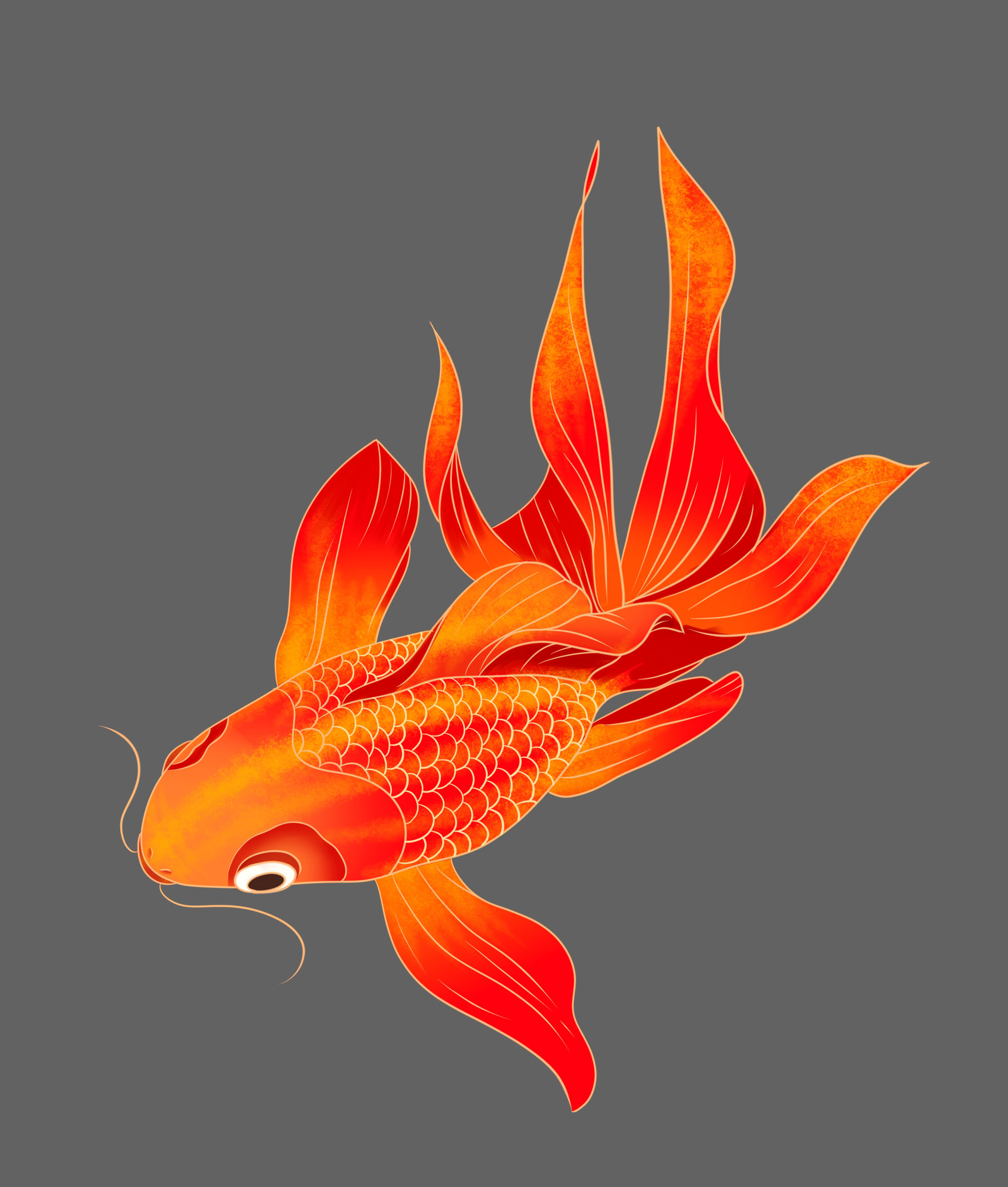 国风-金鱼 插画  - 商业插画 |   上传时间: 2021-06-26 19:29 为ta点