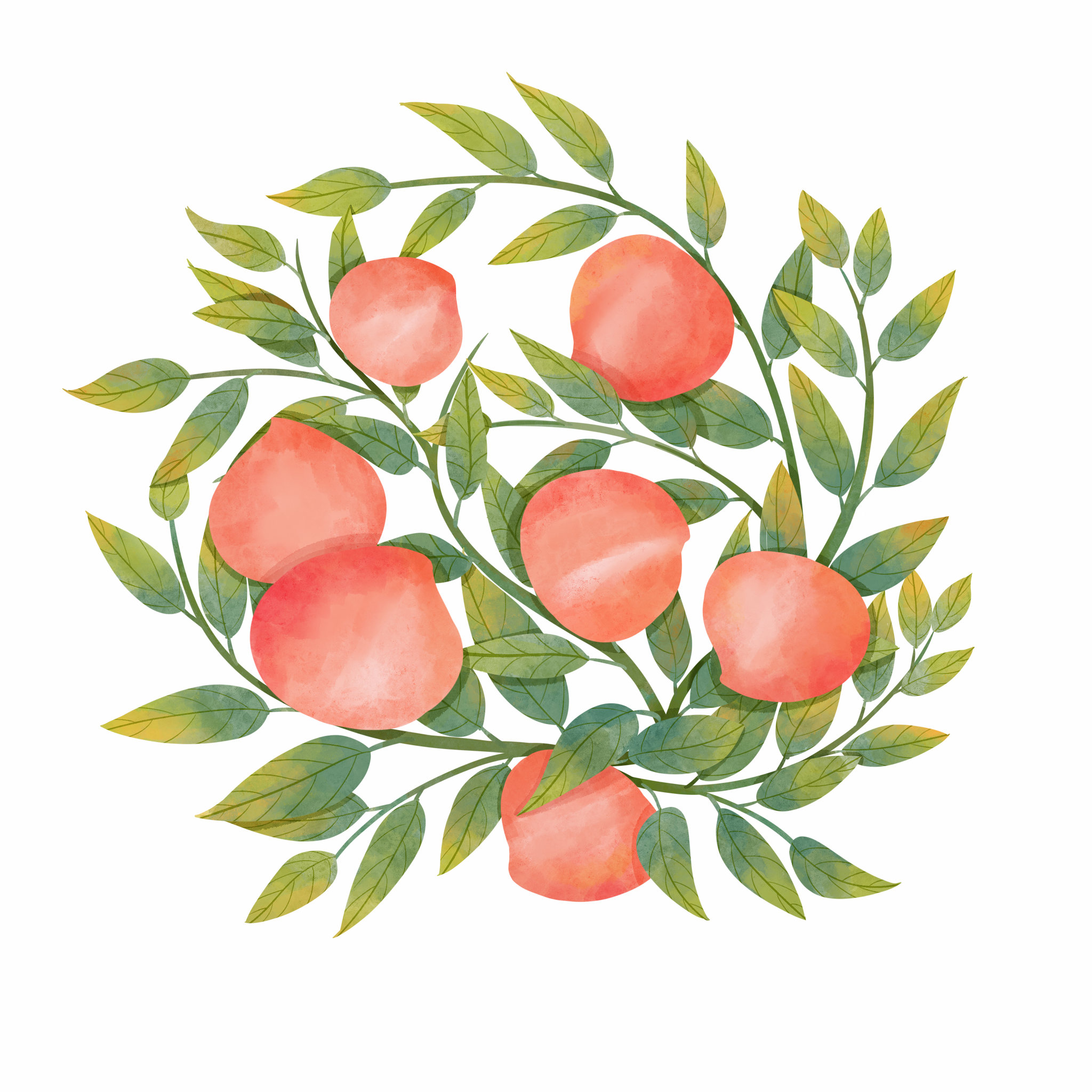 粉色小清新桃子商业包装手绘插画