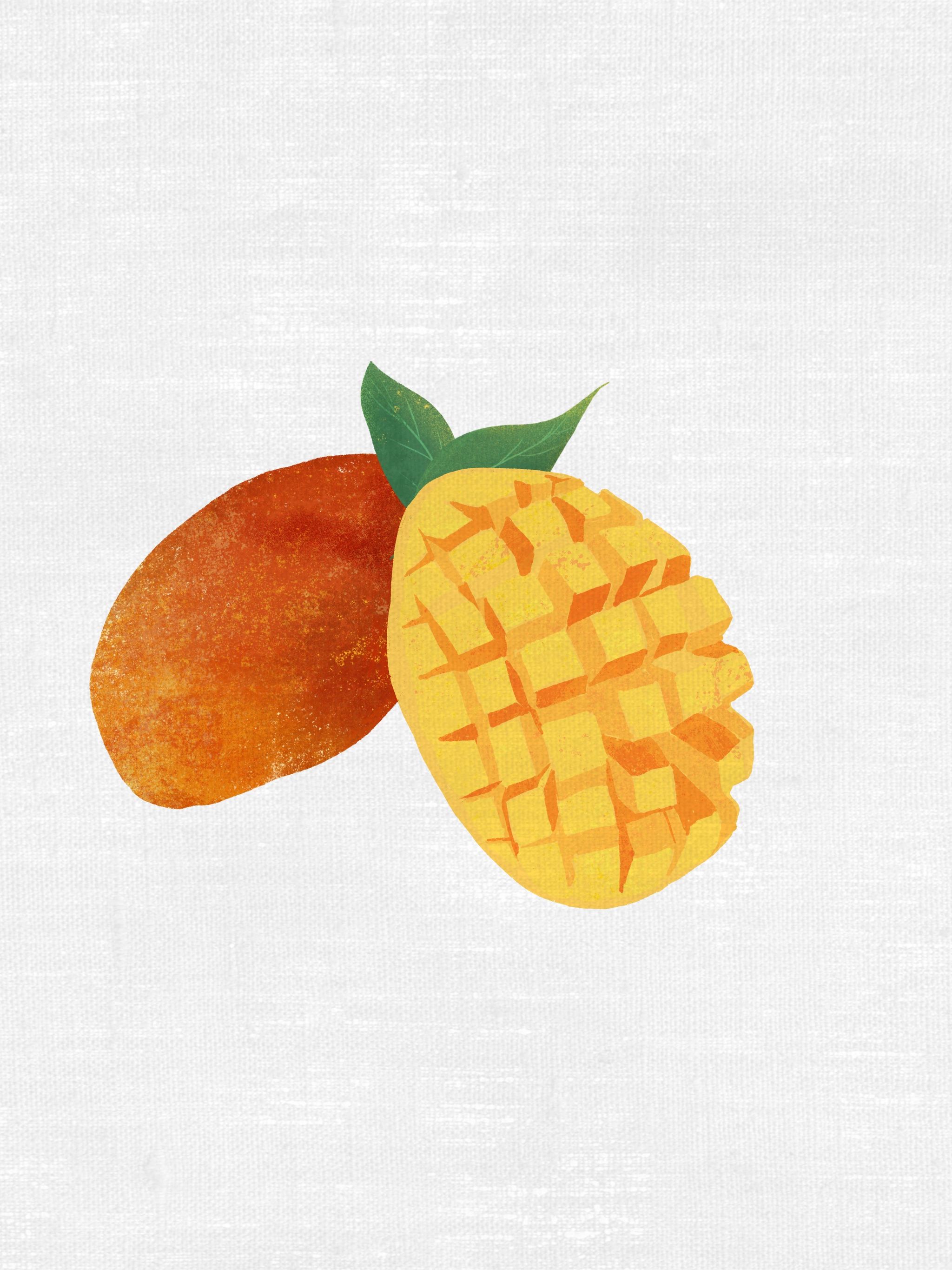 创意水果芒果夏天出游清新包装插画