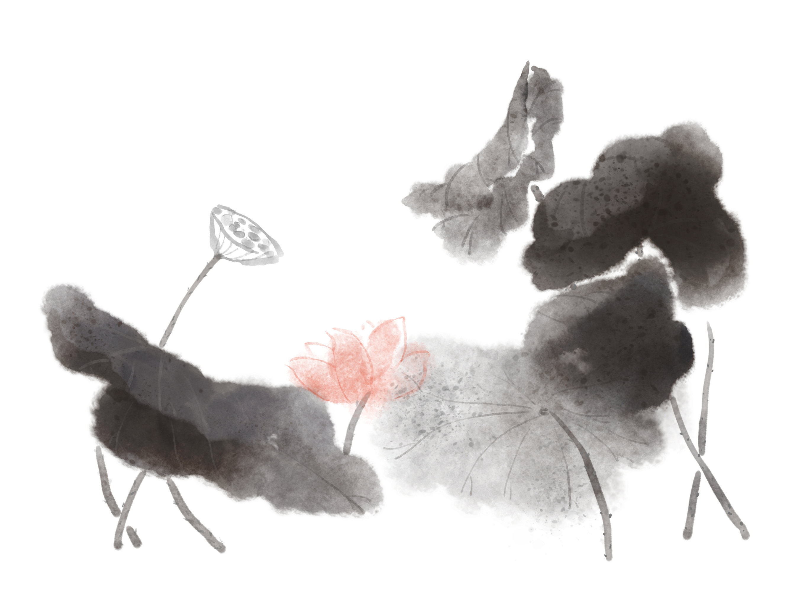 墨荷写意中国画插图