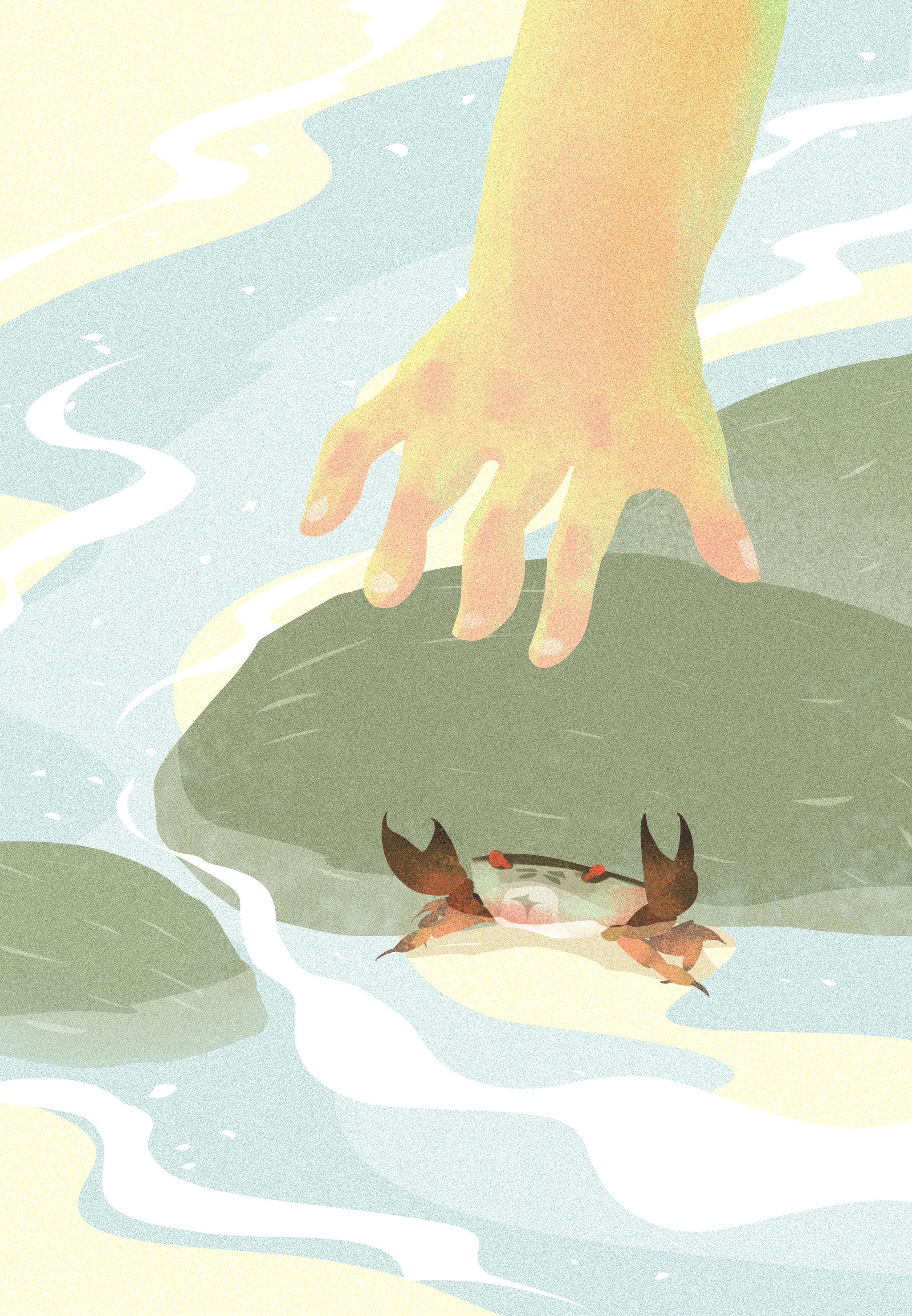 抓螃蟹童年暑假的回忆