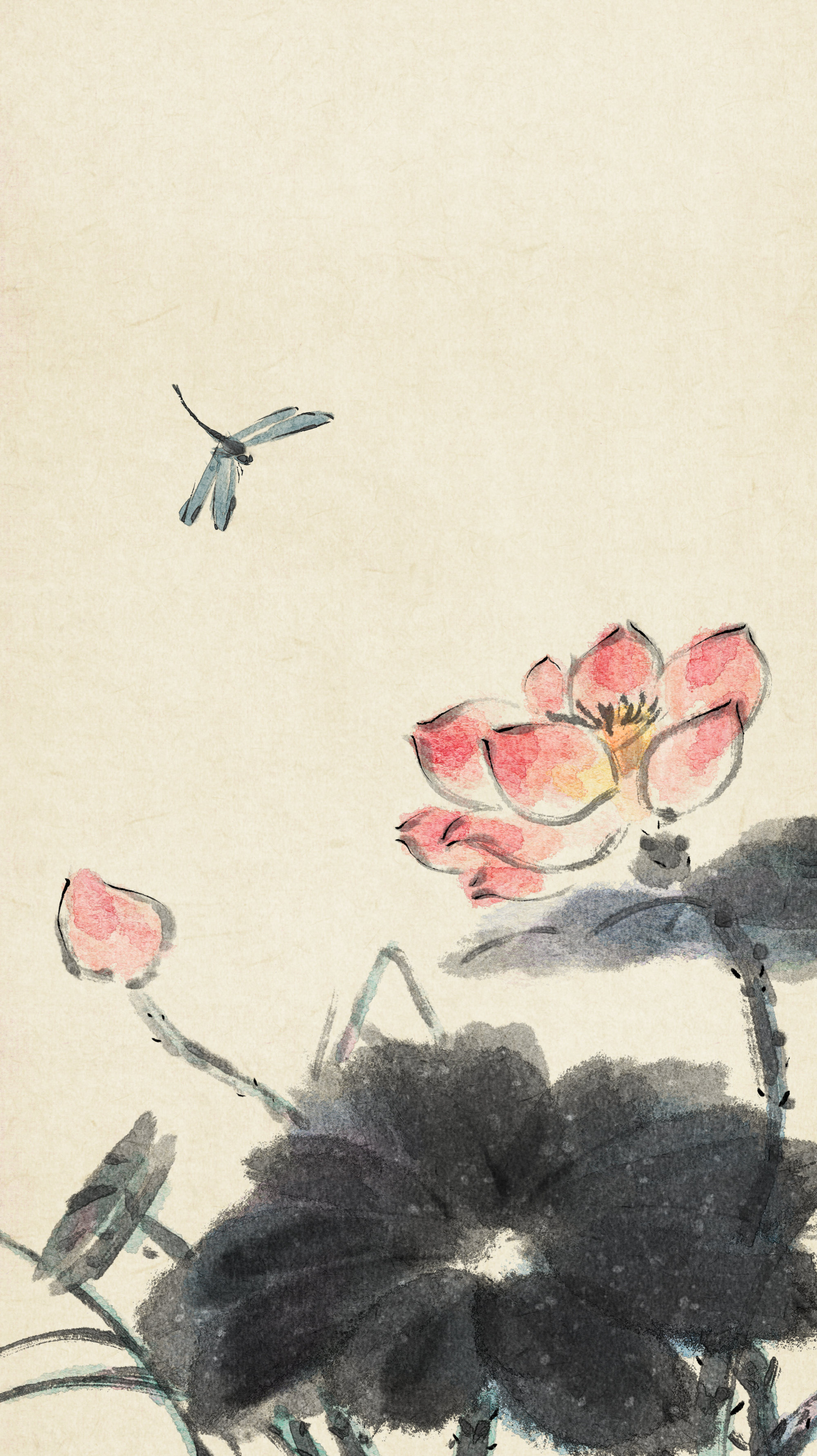 荷花蜻蜓夏日水墨画