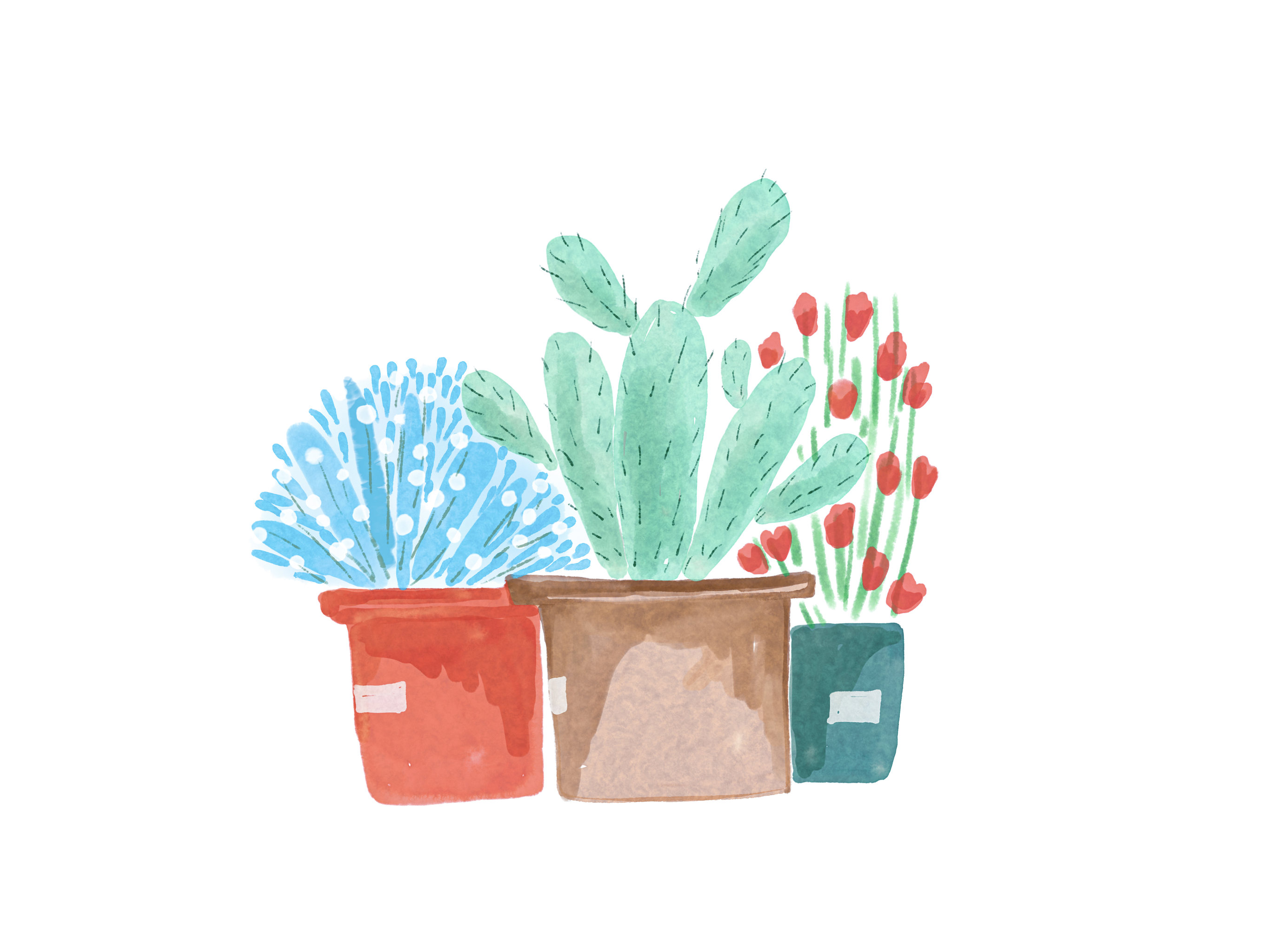 花盆里盛开的花朵清新插画