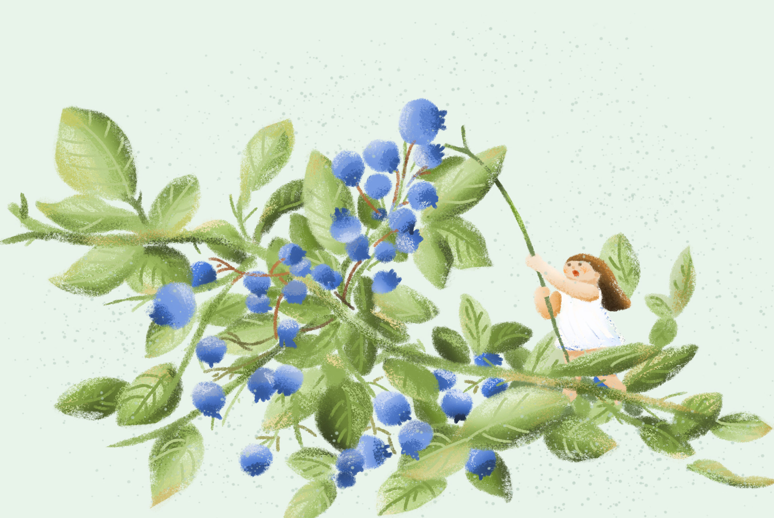 蓝莓精灵 - 静喏宝贝 - 原创作品 - 视觉中国(shijueme)