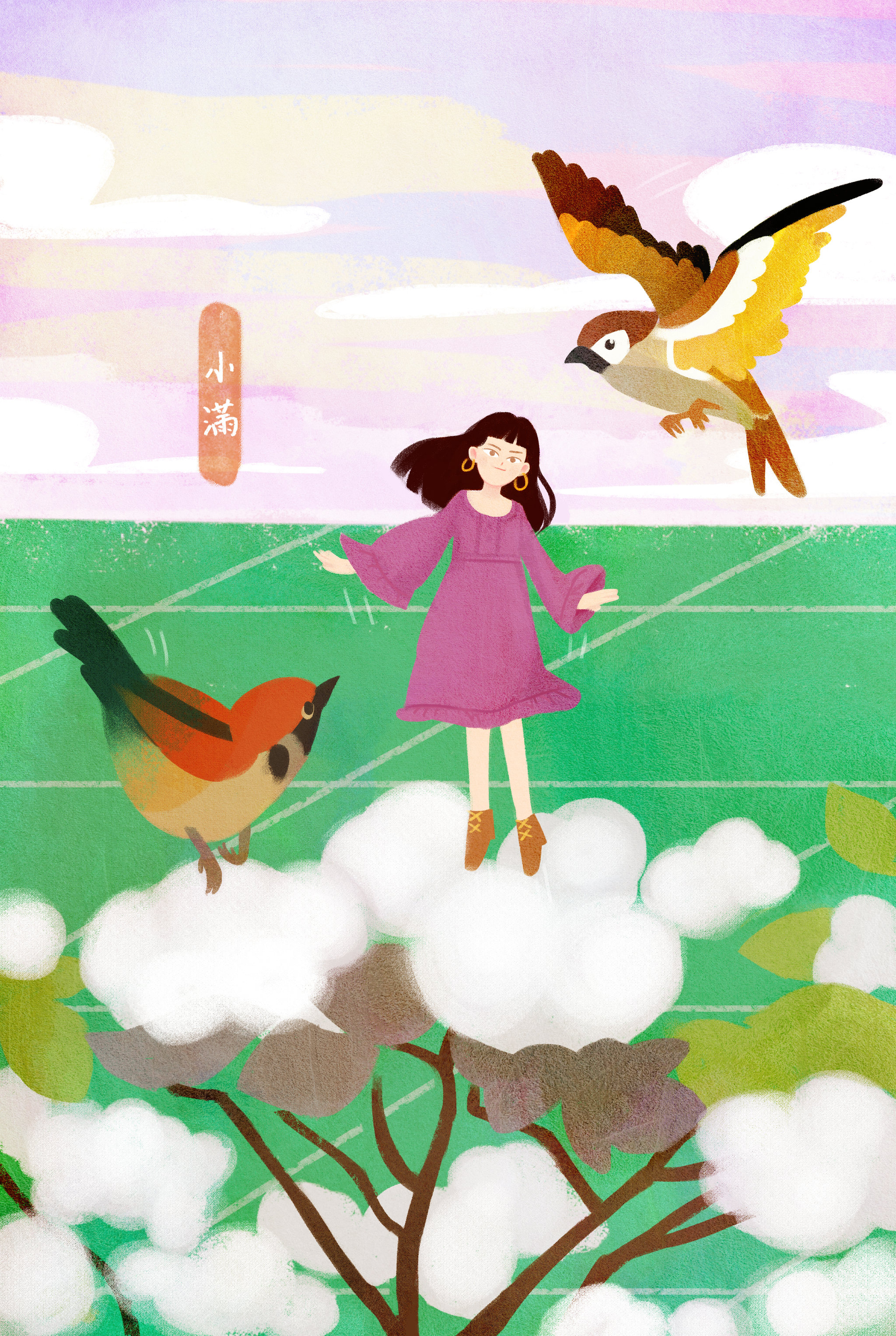 二十四节气之小满