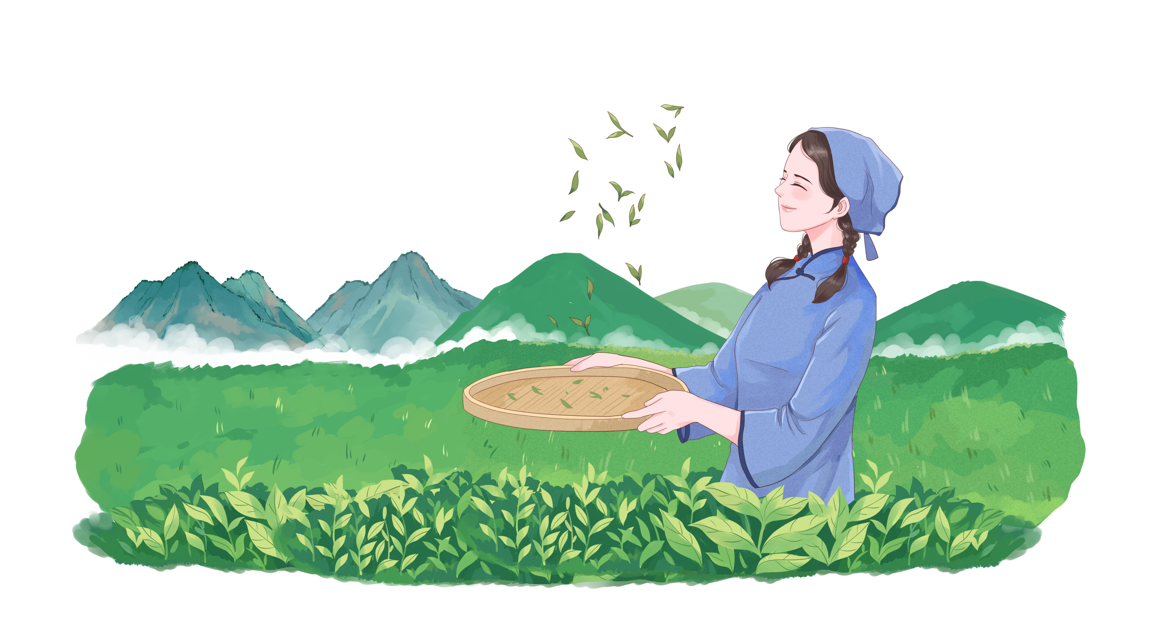 茶叶- 池袋西瓜 - 原创作品 - 视觉中国(shijueme)