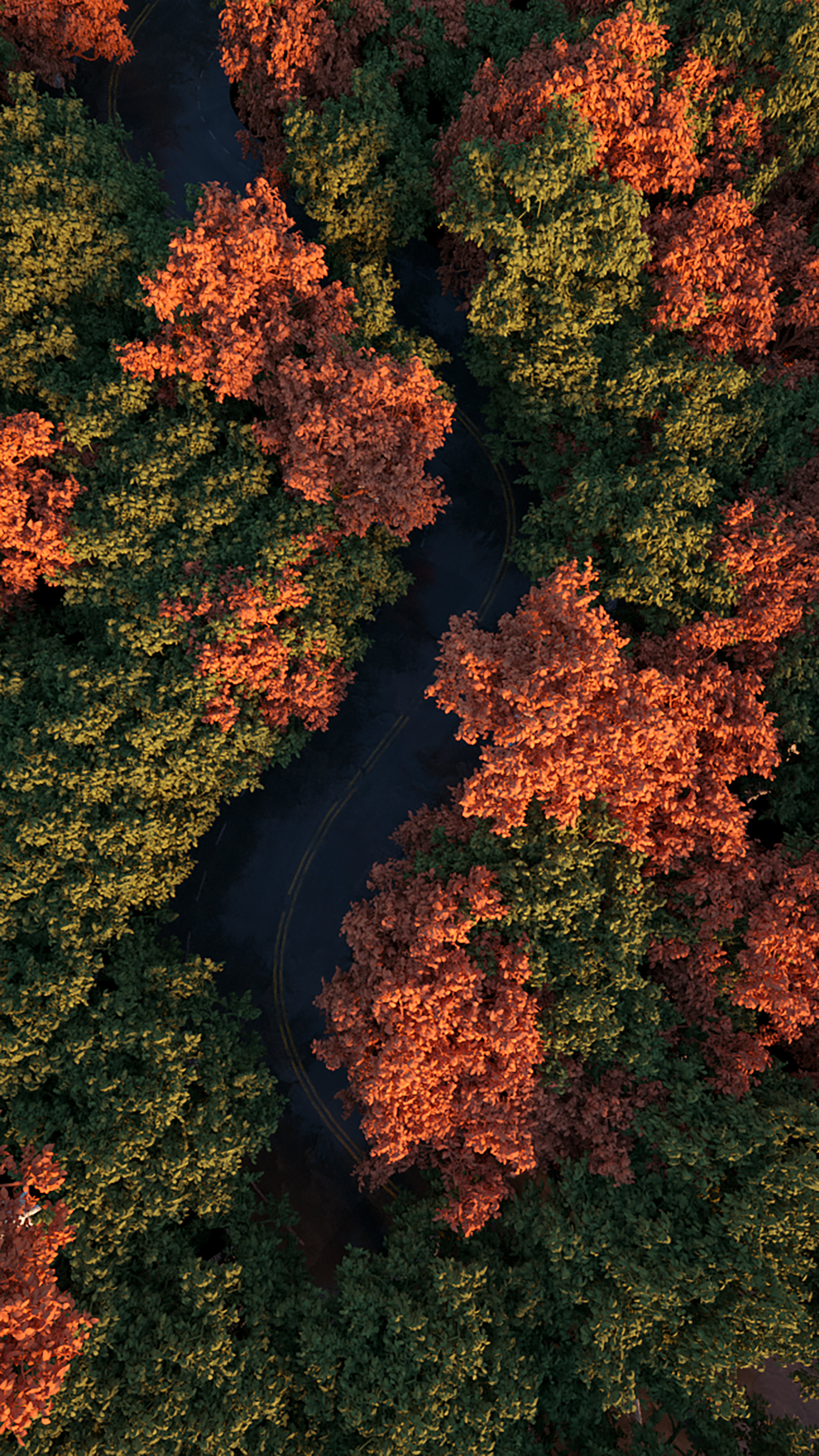 森林c4d建模插画