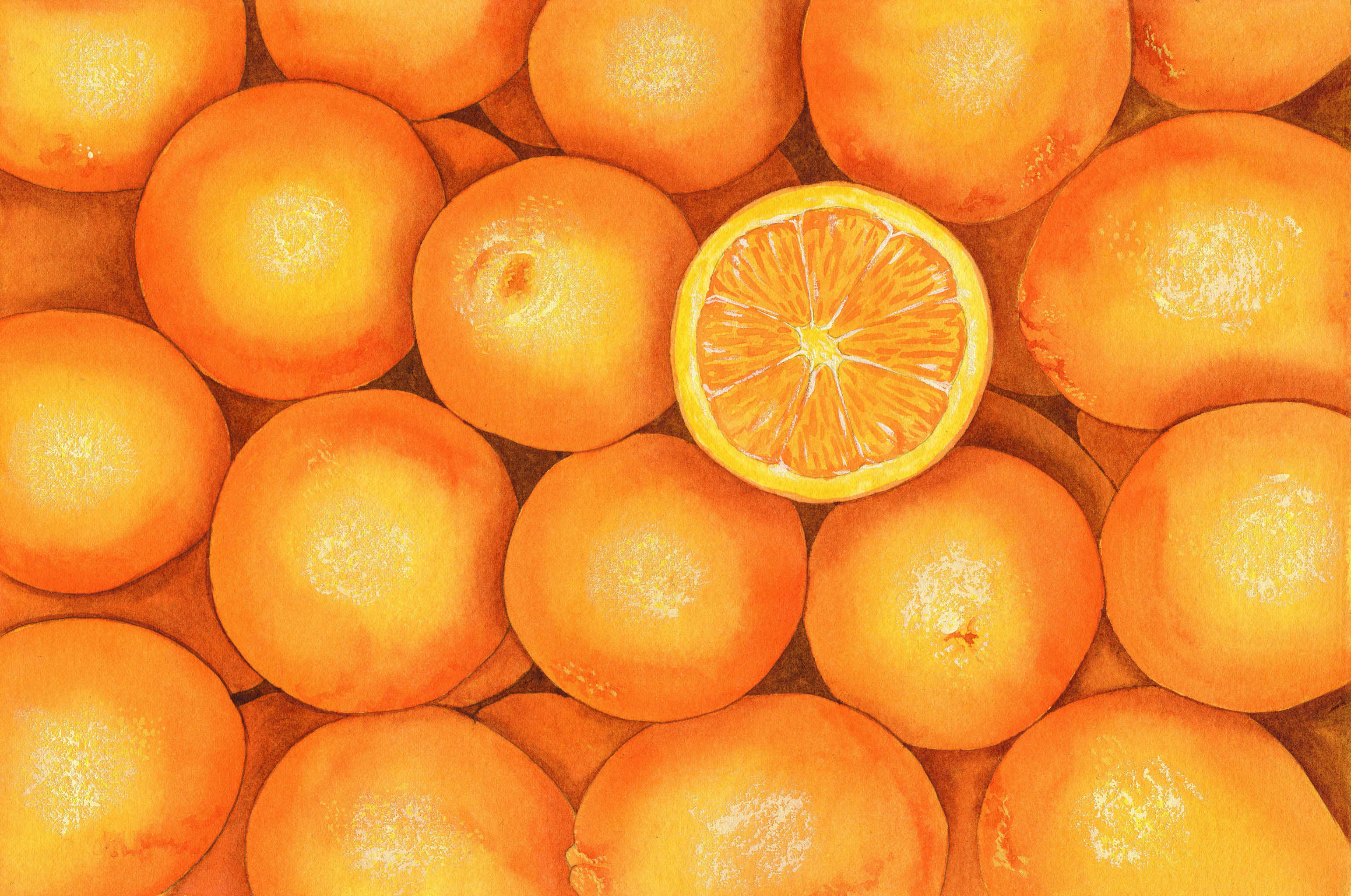 手绘水彩很多水果脐橙橙子素材元素插画