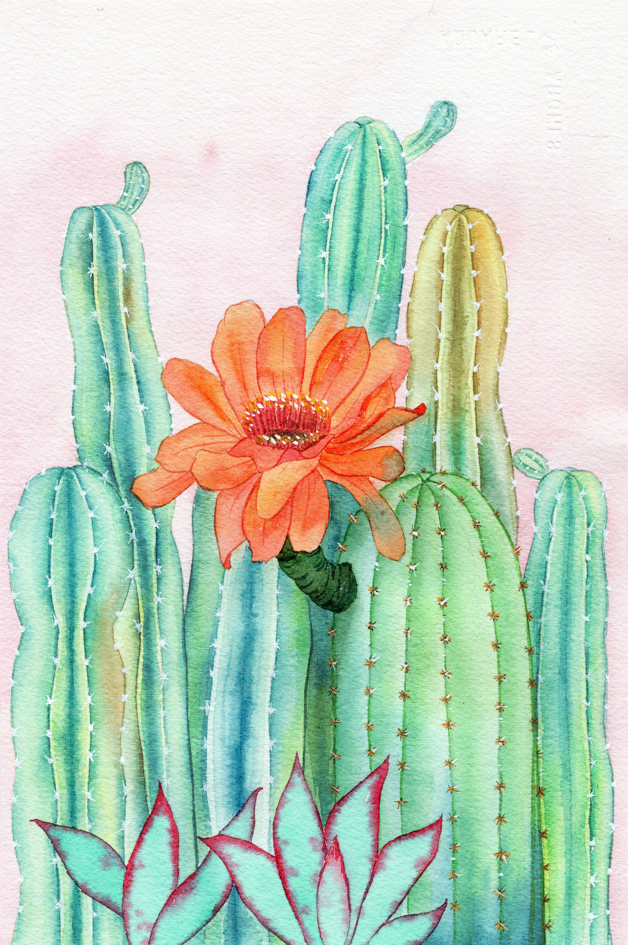 手绘水彩仙人掌元素素材绘画插画