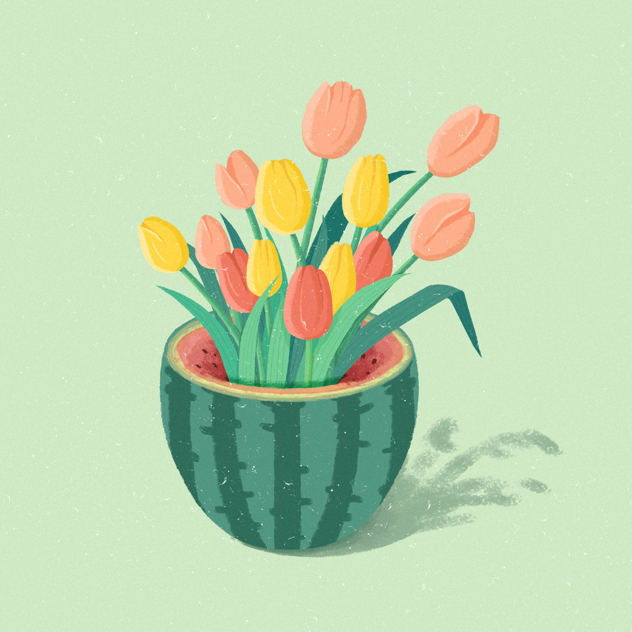 板绘平涂西瓜开花郁金香卉花束素材元素插画