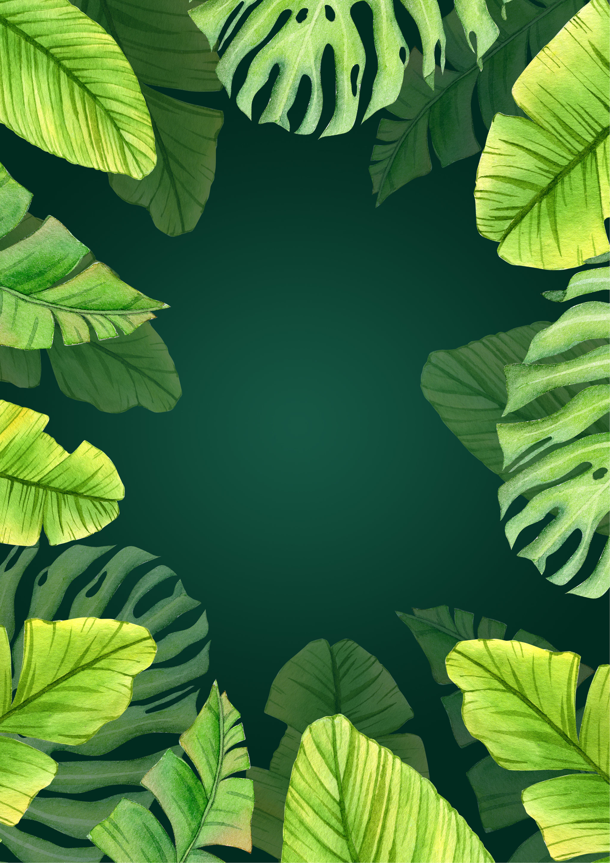 手绘植物绿叶芭蕉叶请柬装饰框背景素材元素插画