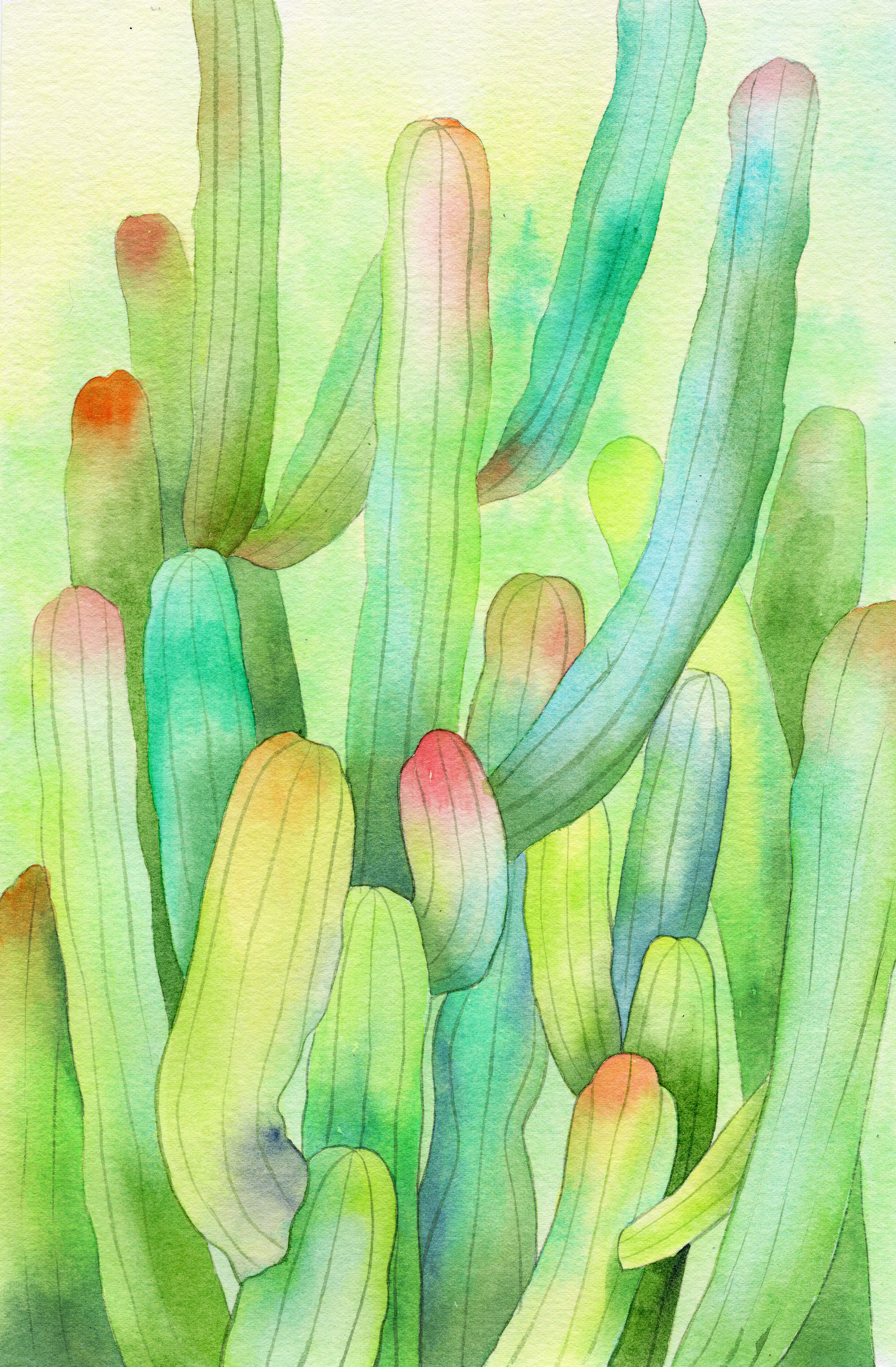 手绘水彩仙人掌元素素材绘画插画