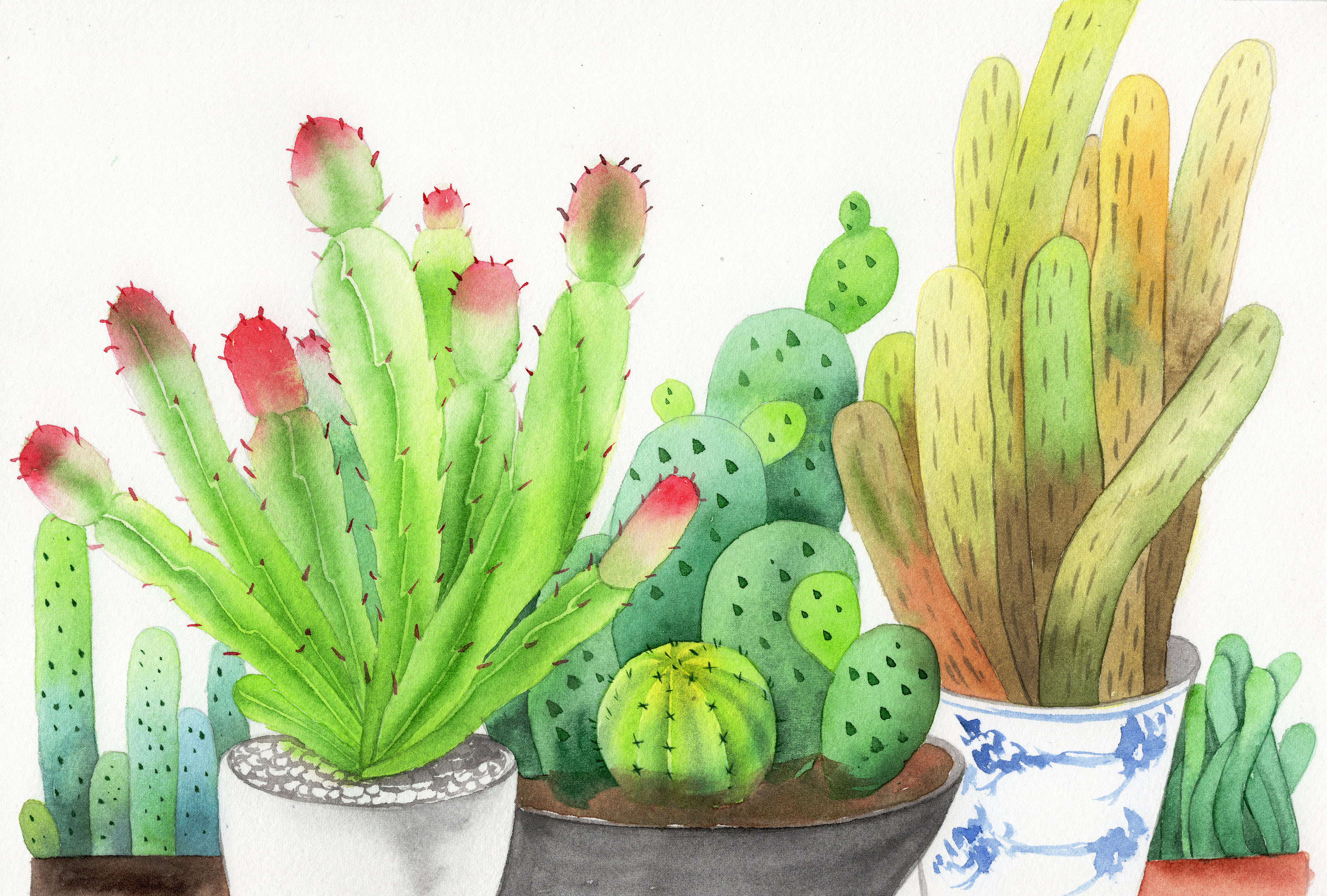 手绘水彩仙人掌元素素材绘画插画