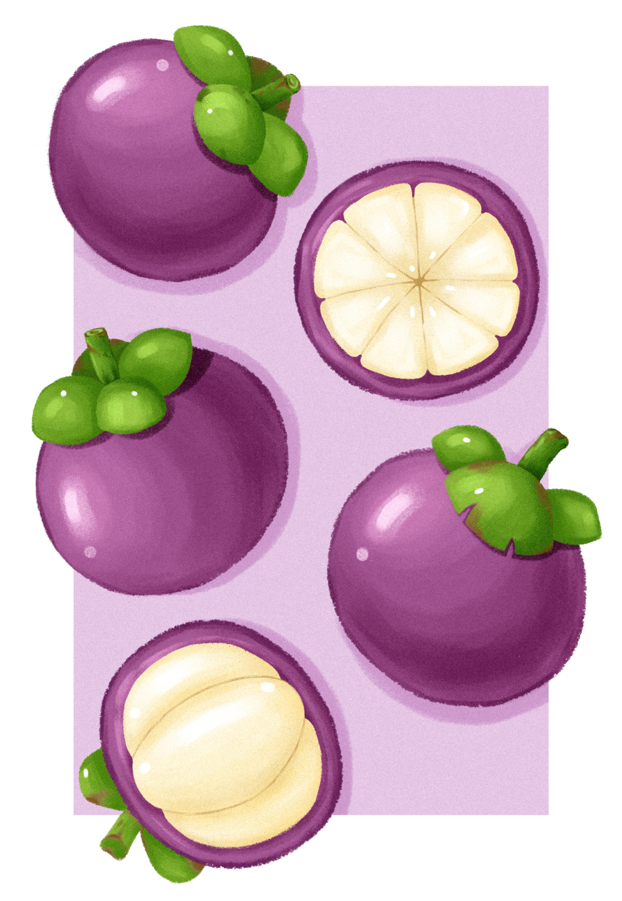 数位板绘画山竹水果元素装饰画素材平涂插画