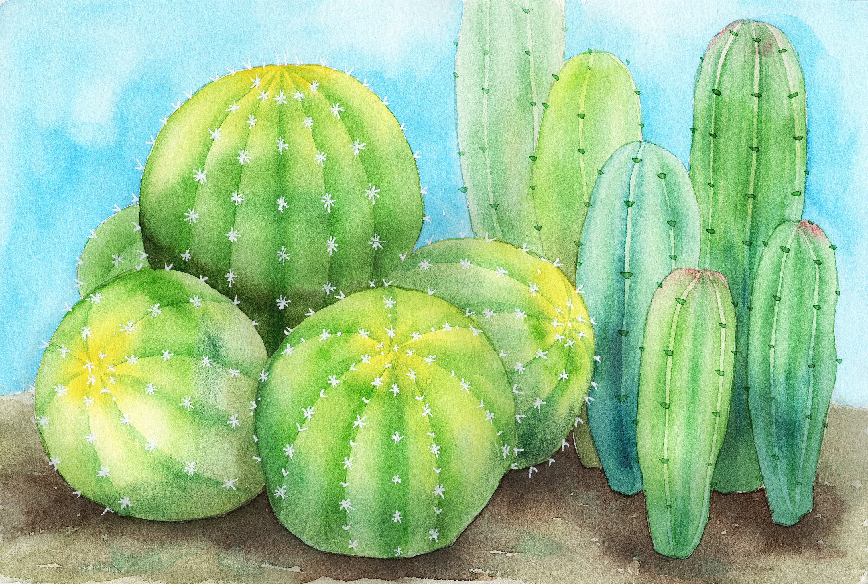 手绘水彩仙人掌元素素材绘画插画