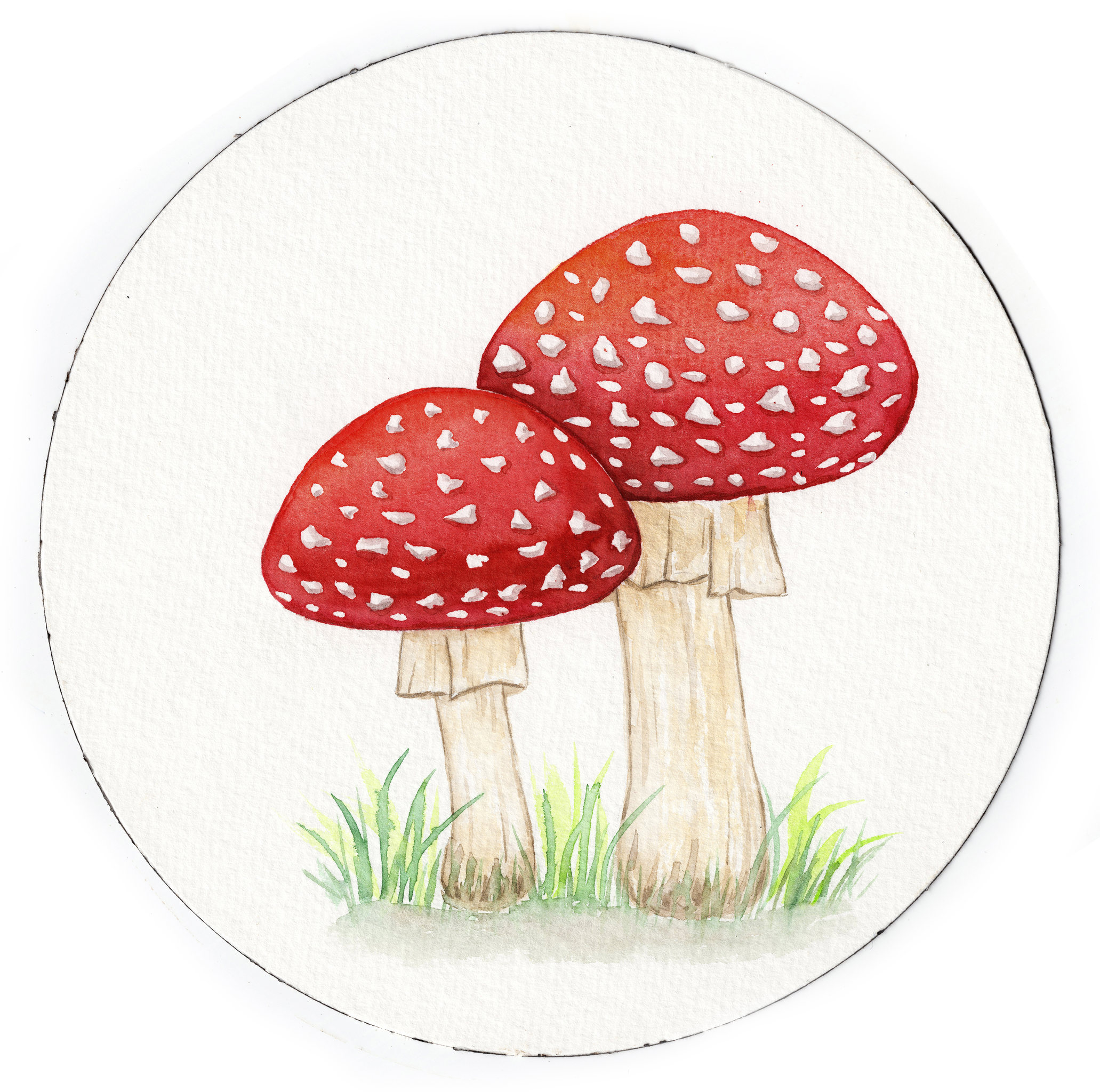 手绘水彩多彩群生可爱蘑菇插画