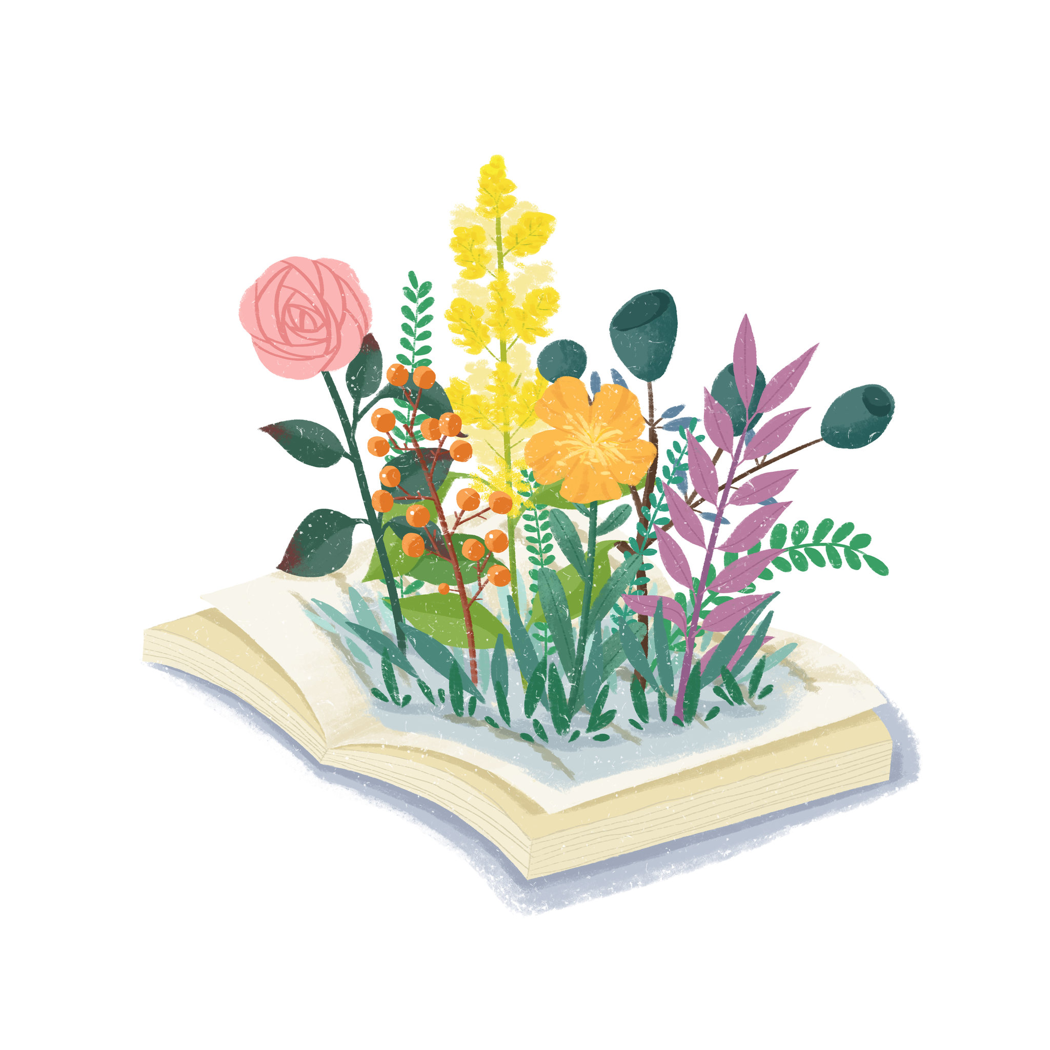 板绘平涂书本开花卉花束素材元素插画