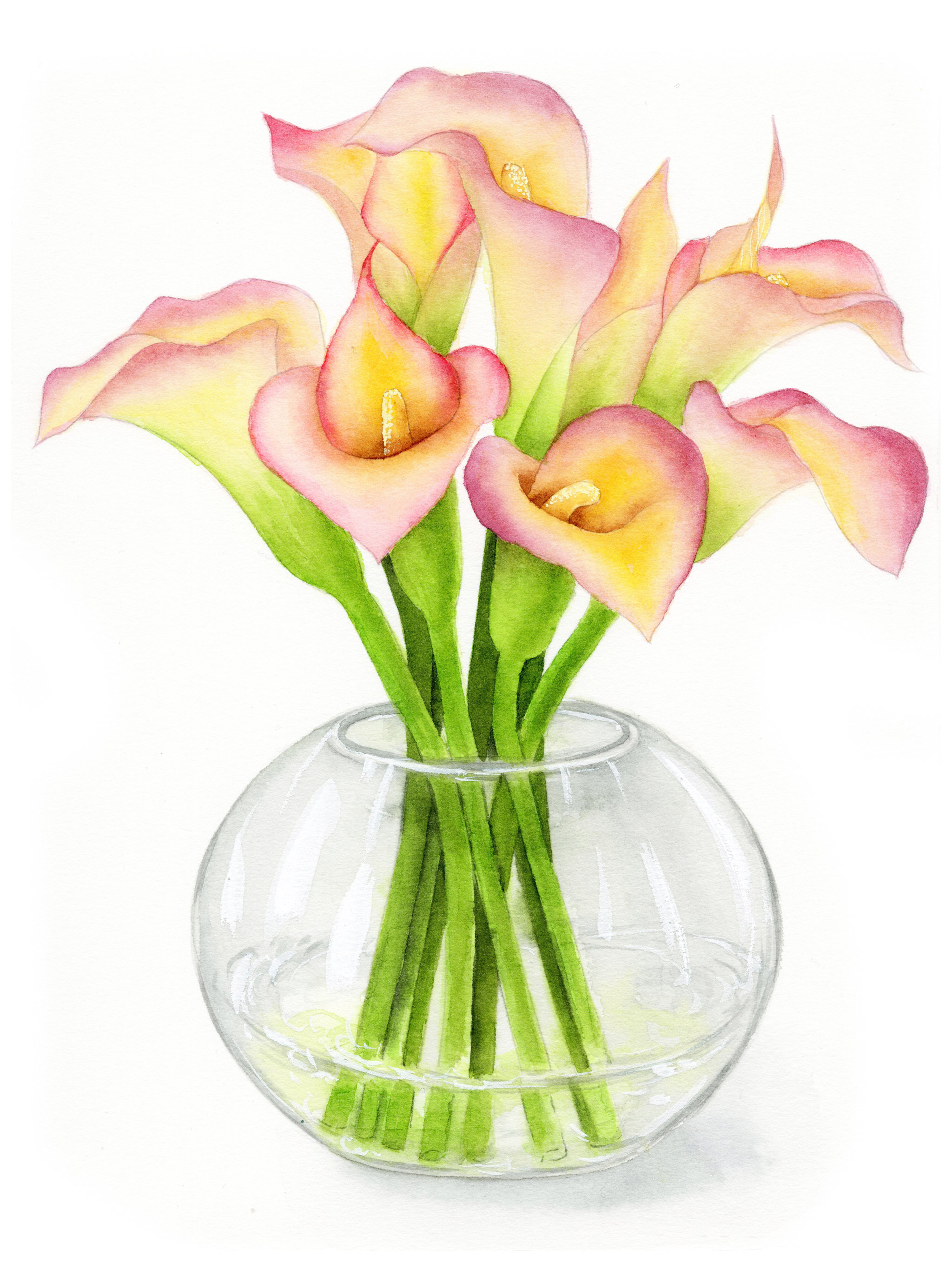 手绘水彩植物花卉马蹄莲花簇插花素材插画 - 董搞搞 - 原创作品