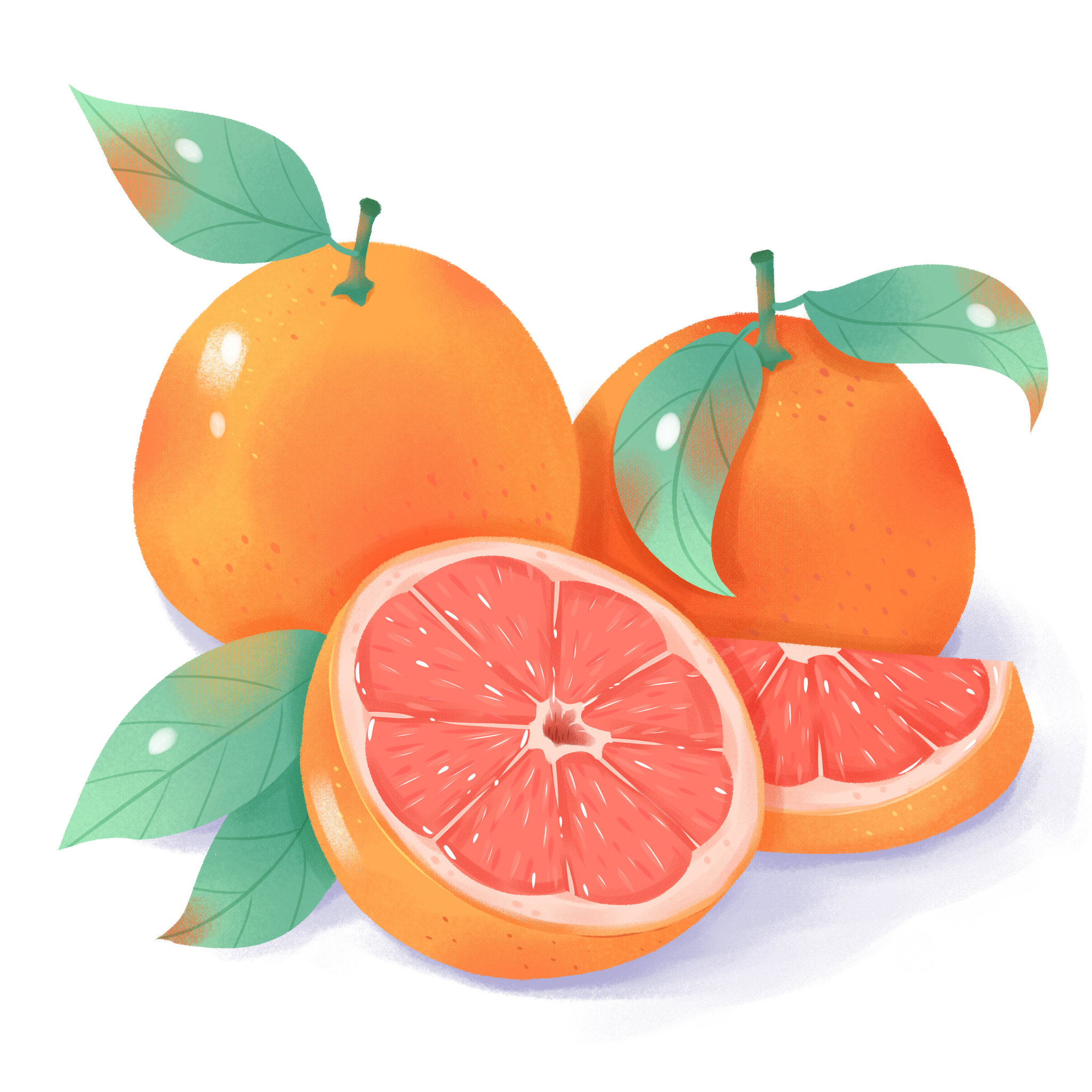 水果西柚插画