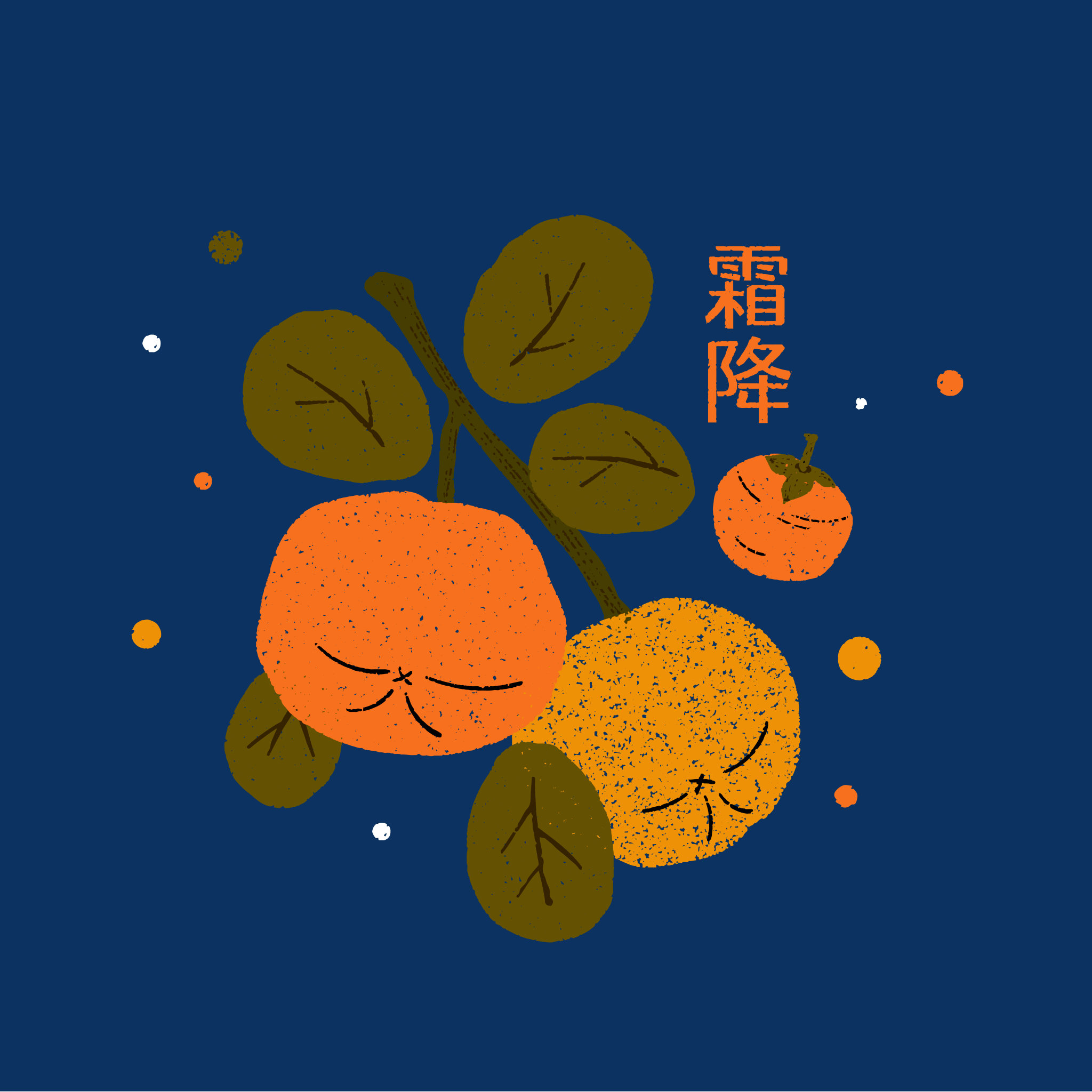 霜降节气柿子植物插画方图 - 白色瓷盘 - 原创作品 - 视觉中国(shijue