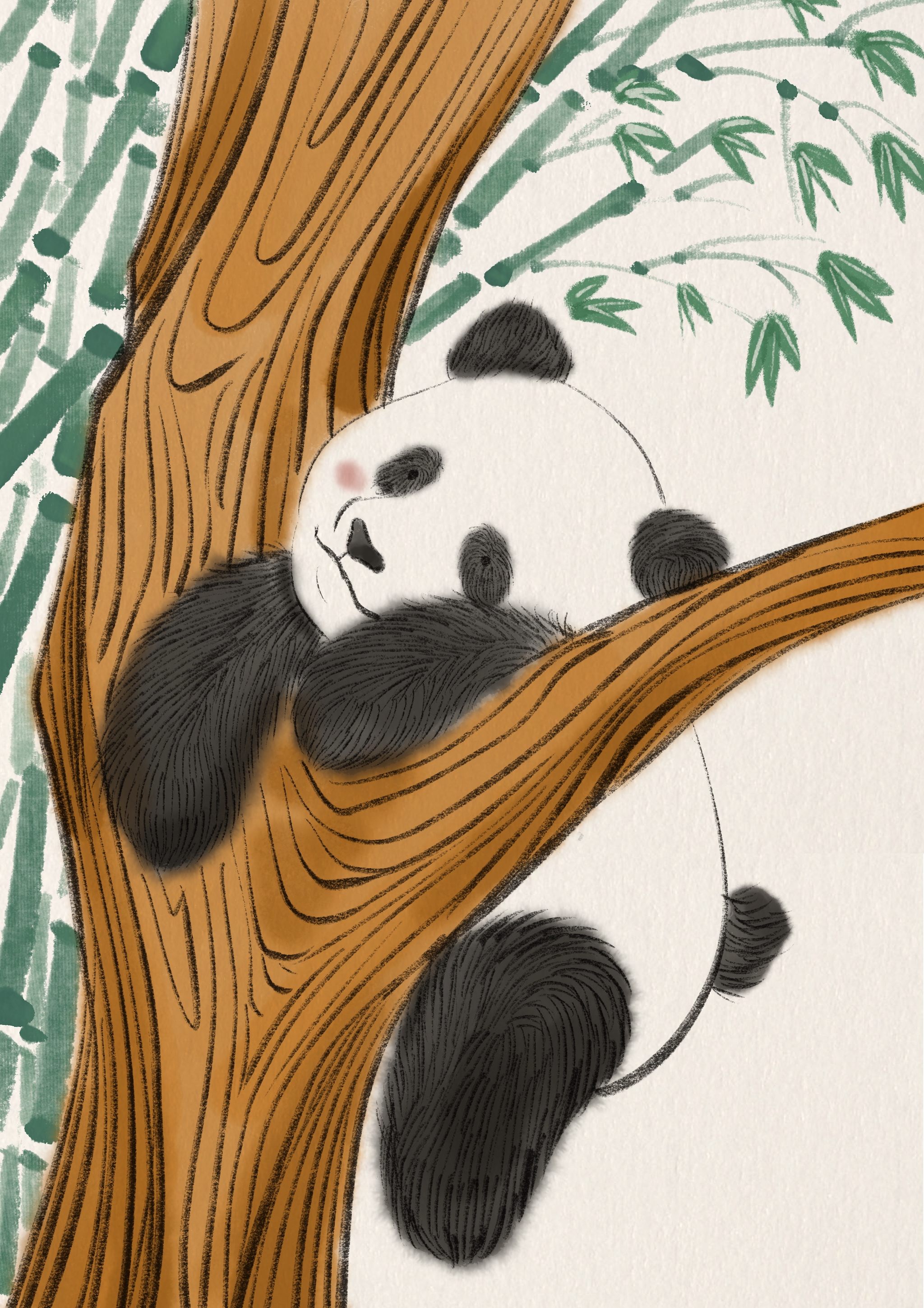 大熊猫 - 兔道格斯 - 原创作品 - 视觉中国(爱视觉)