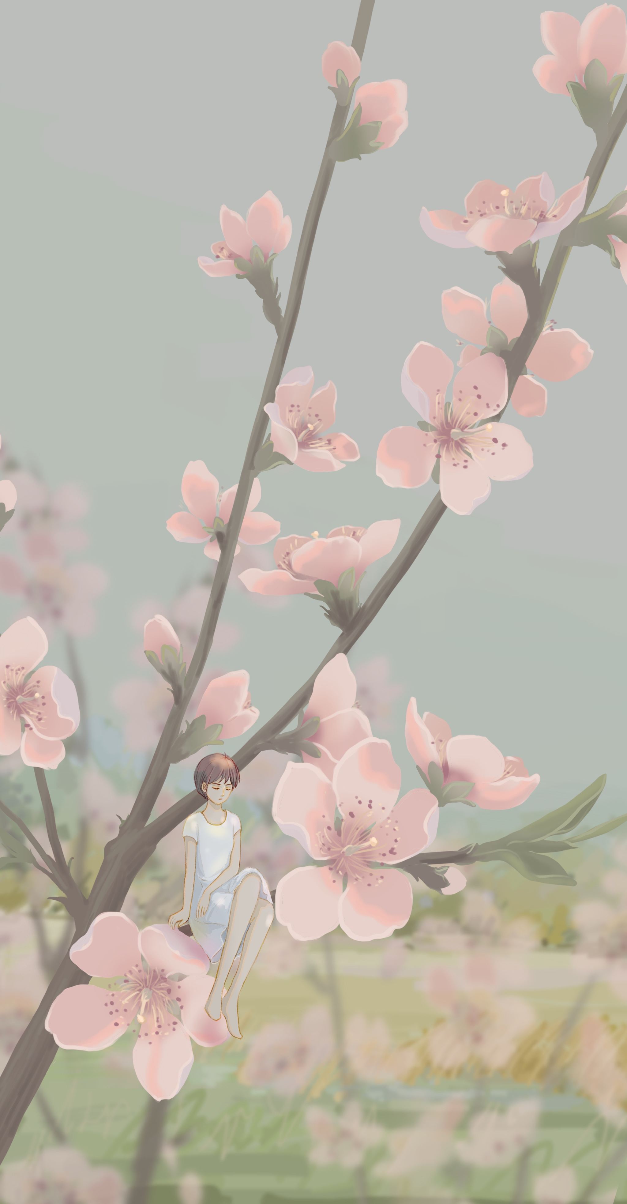 春天的花和女孩 唯美清新