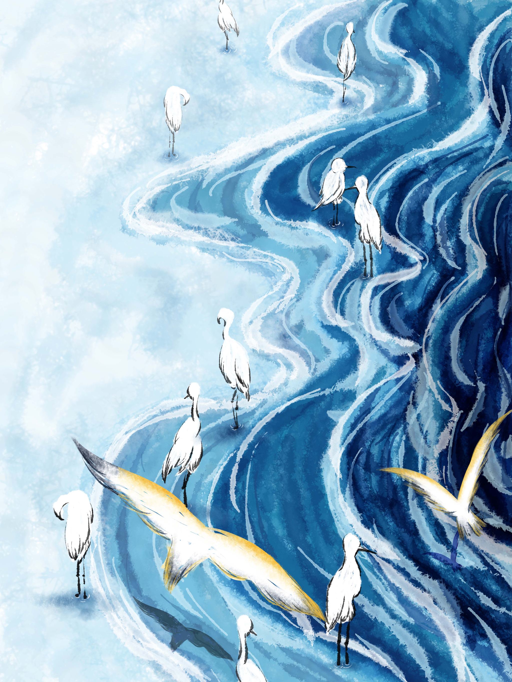 水彩插画|江岸白鹭