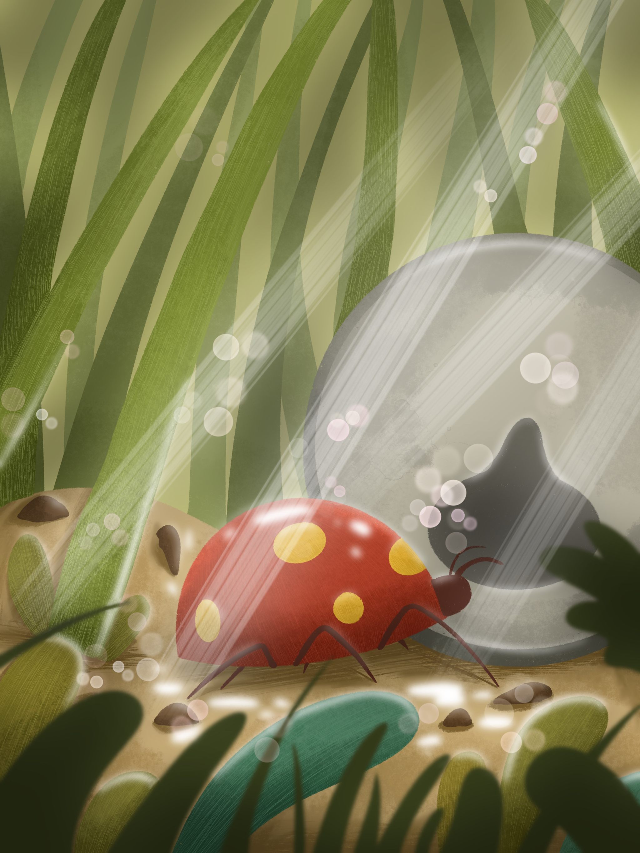 原创儿童插画昆虫系列七星瓢虫