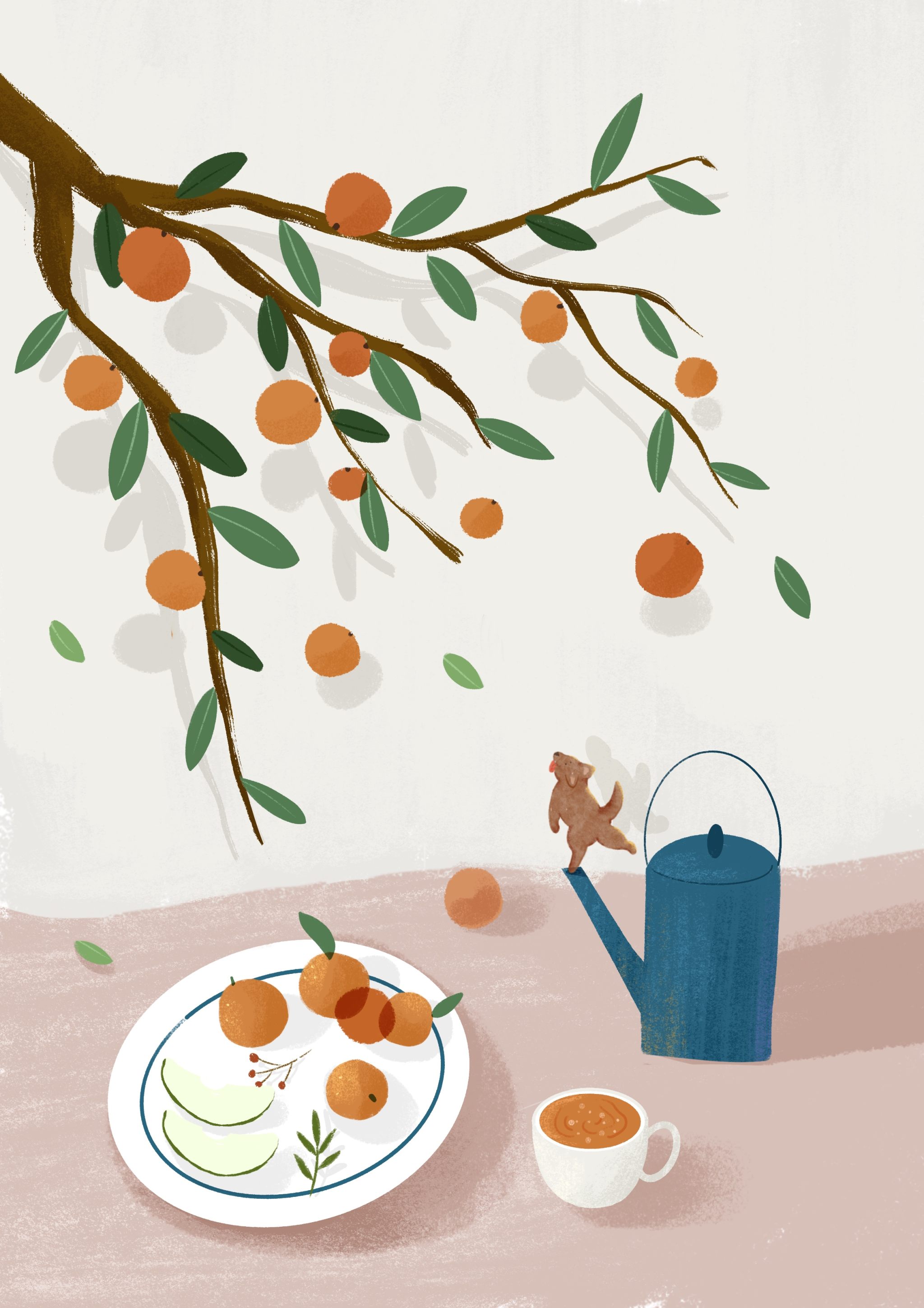 橘子树 插画  