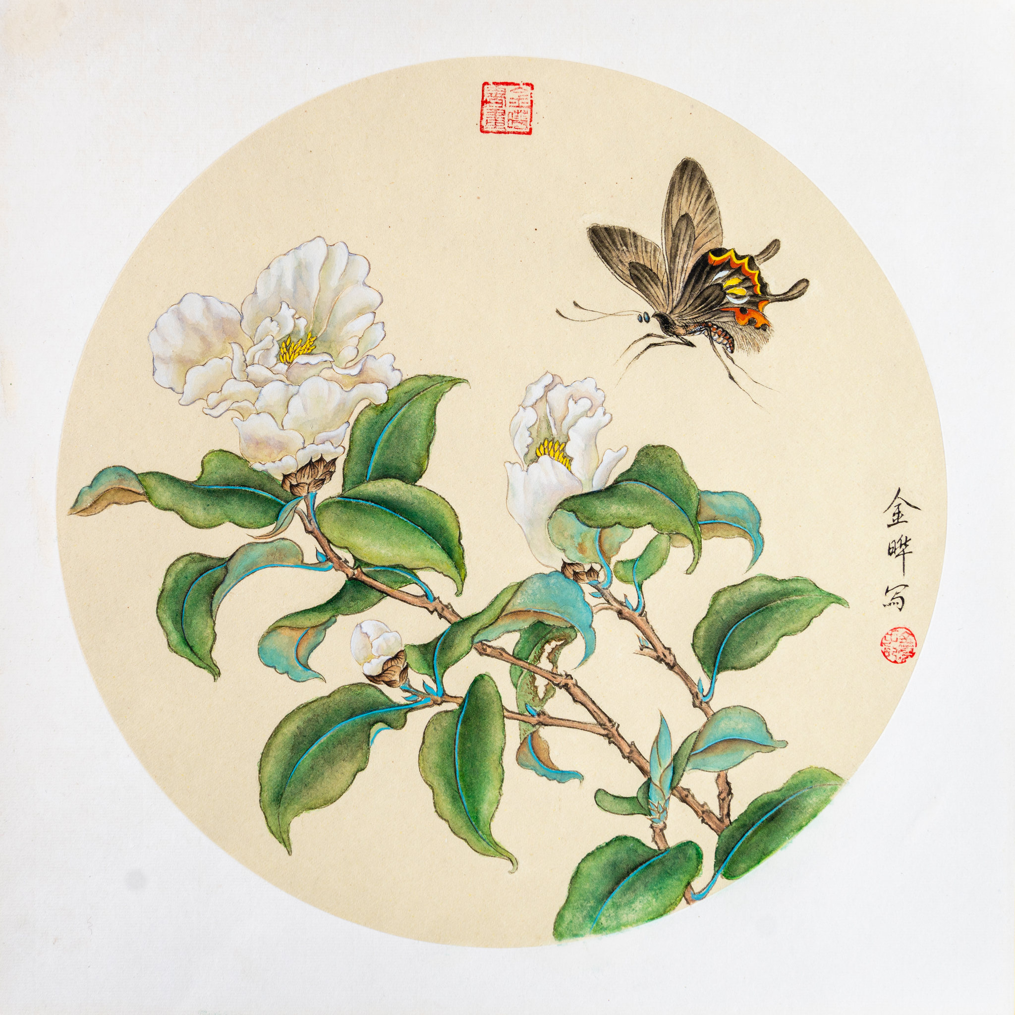 花,蝴蝶 - 云淡淡 - 原创作品 - 视觉中国(shijueme)