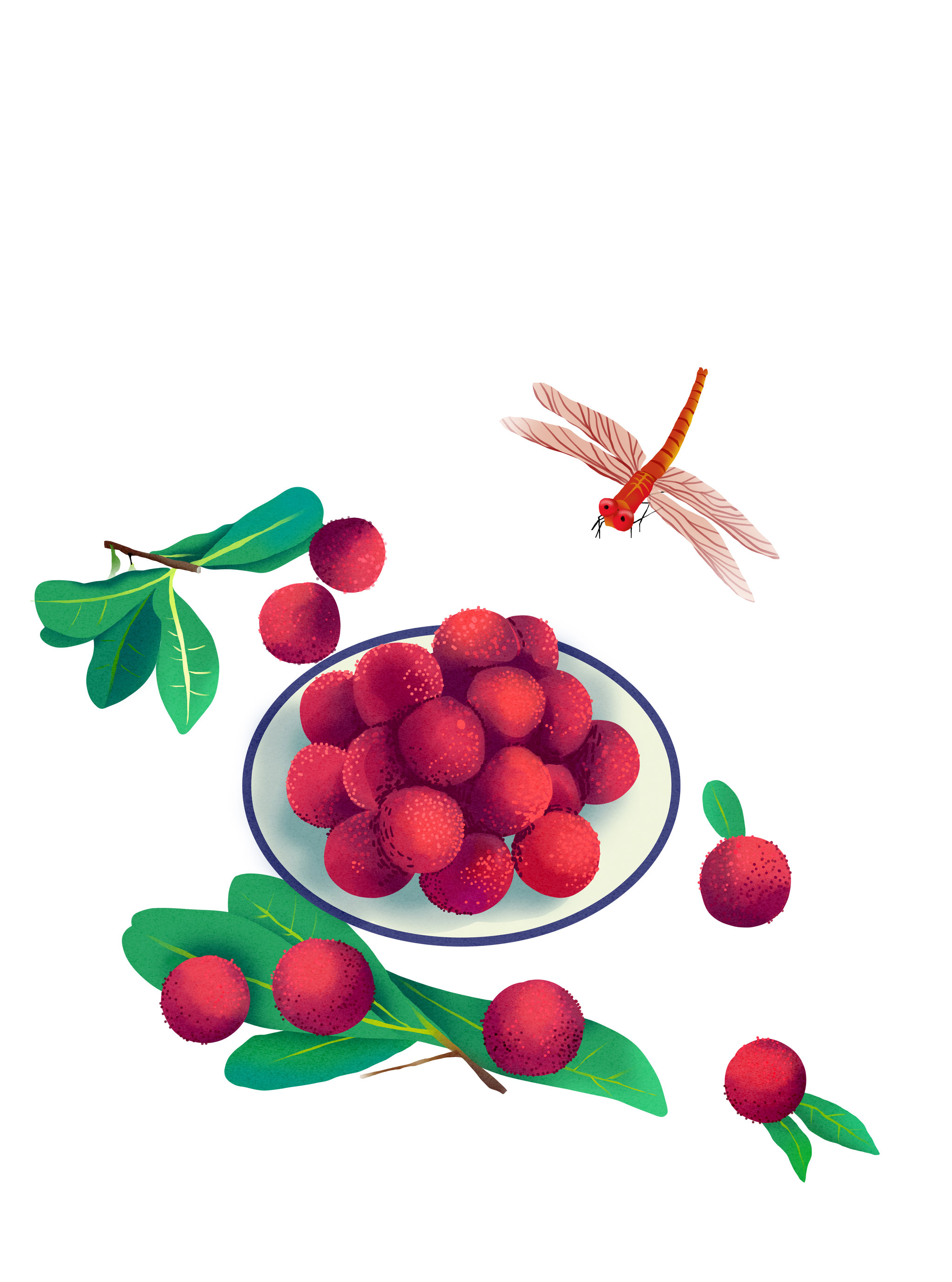 杨梅- 梅羽merryzhang - 原创作品 - 视觉中国(shijueme)